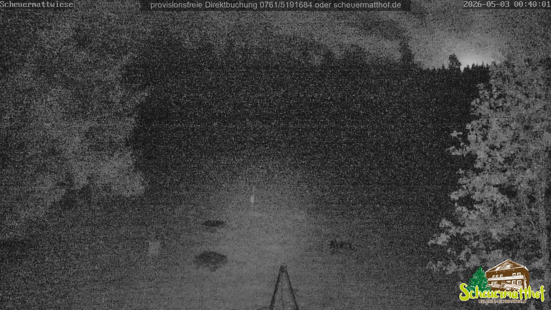 Archiv Foto Webcam Todtnauberg - Scheuermattwiese