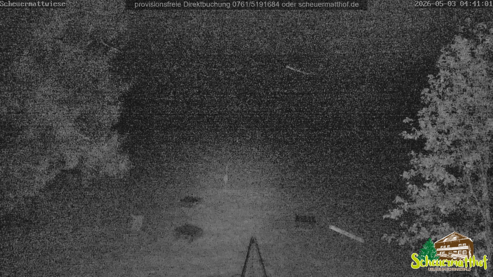 Archiv Foto Webcam Todtnauberg - Scheuermattwiese