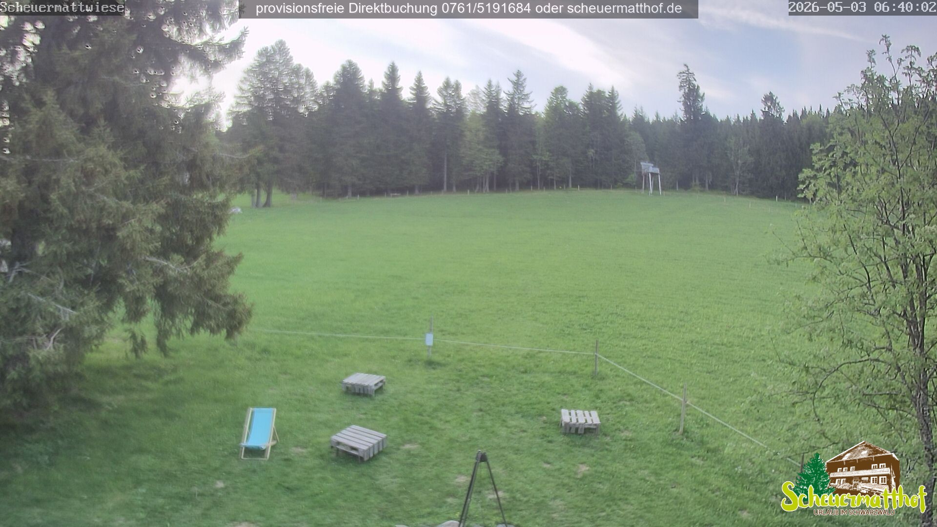 Archiv Foto Webcam Todtnauberg - Scheuermattwiese