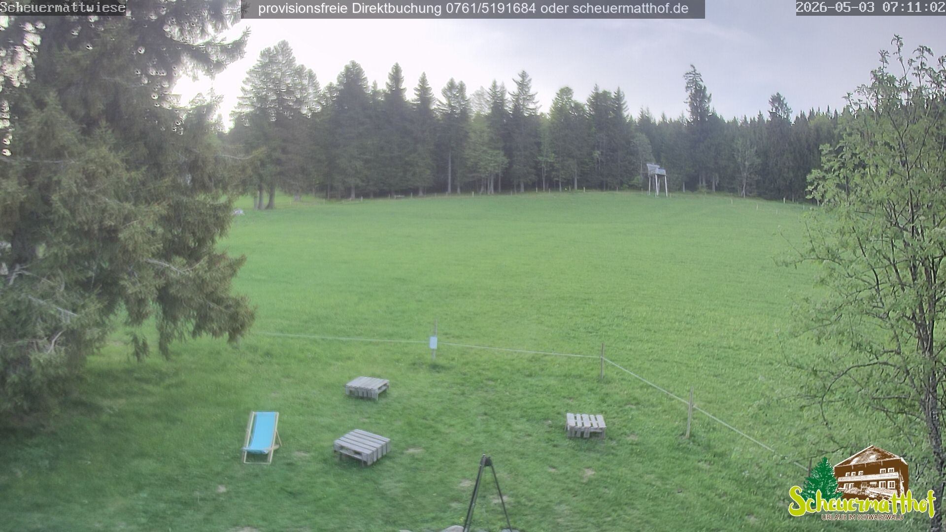 Archiv Foto Webcam Todtnauberg - Scheuermattwiese