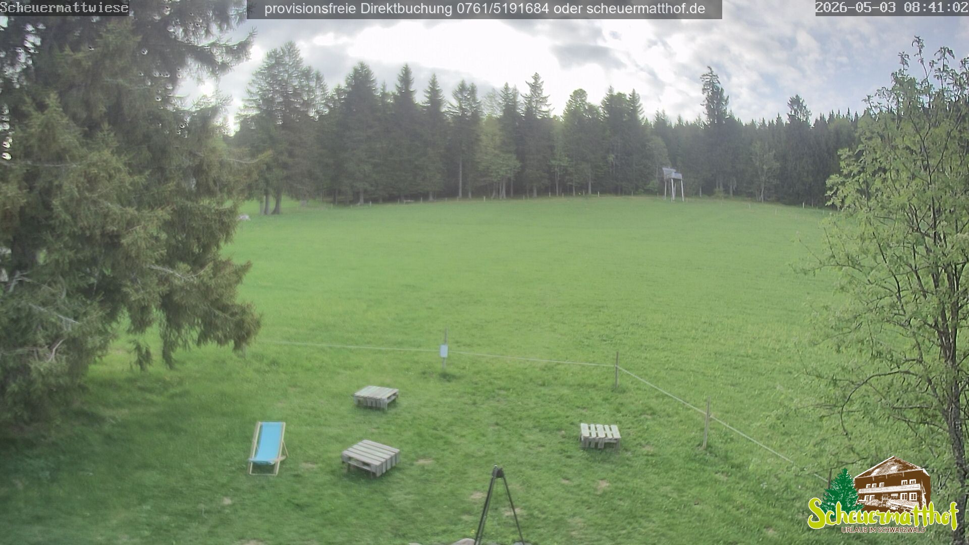 Archiv Foto Webcam Todtnauberg - Scheuermattwiese