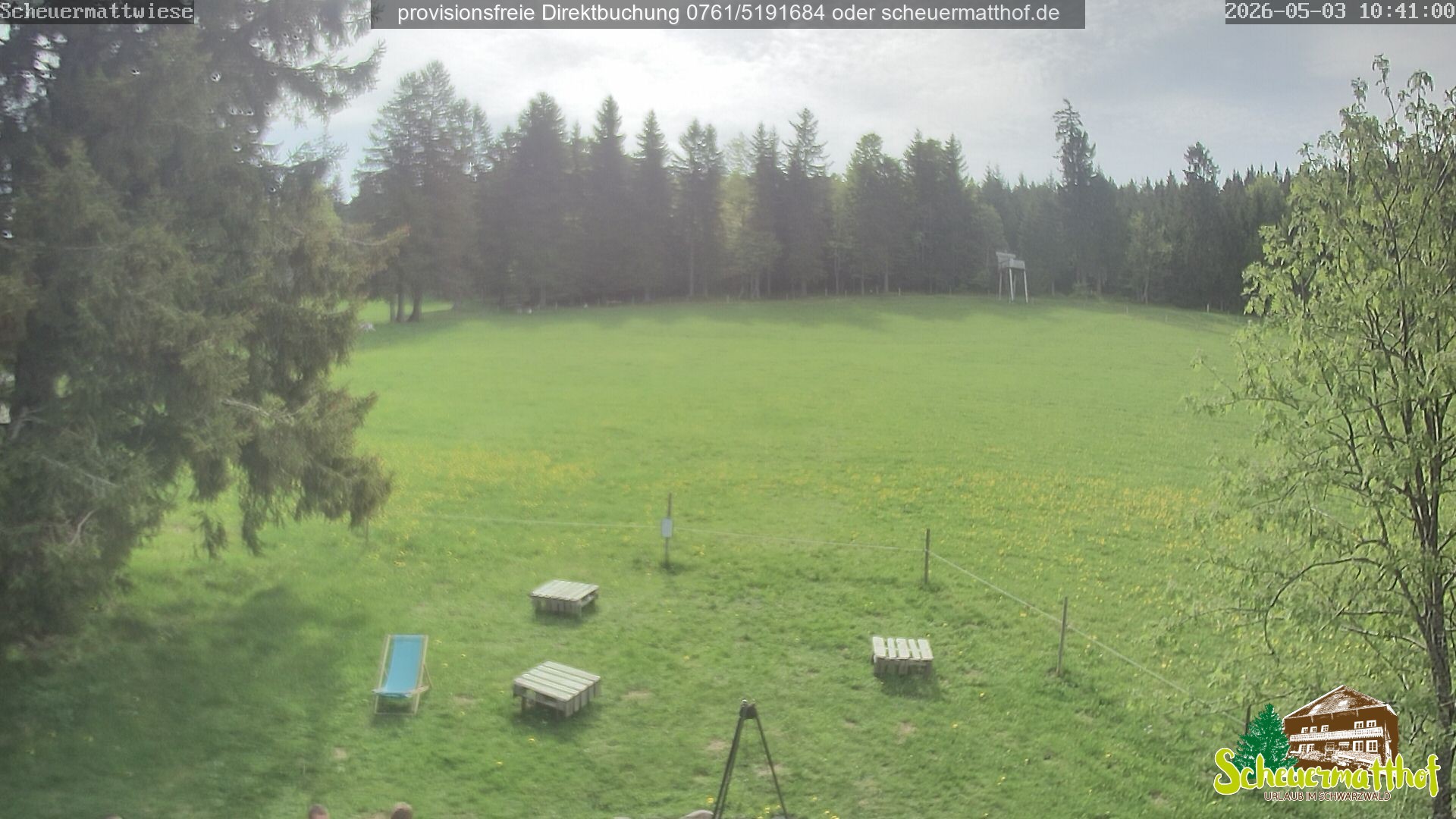 Archiv Foto Webcam Todtnauberg - Scheuermattwiese