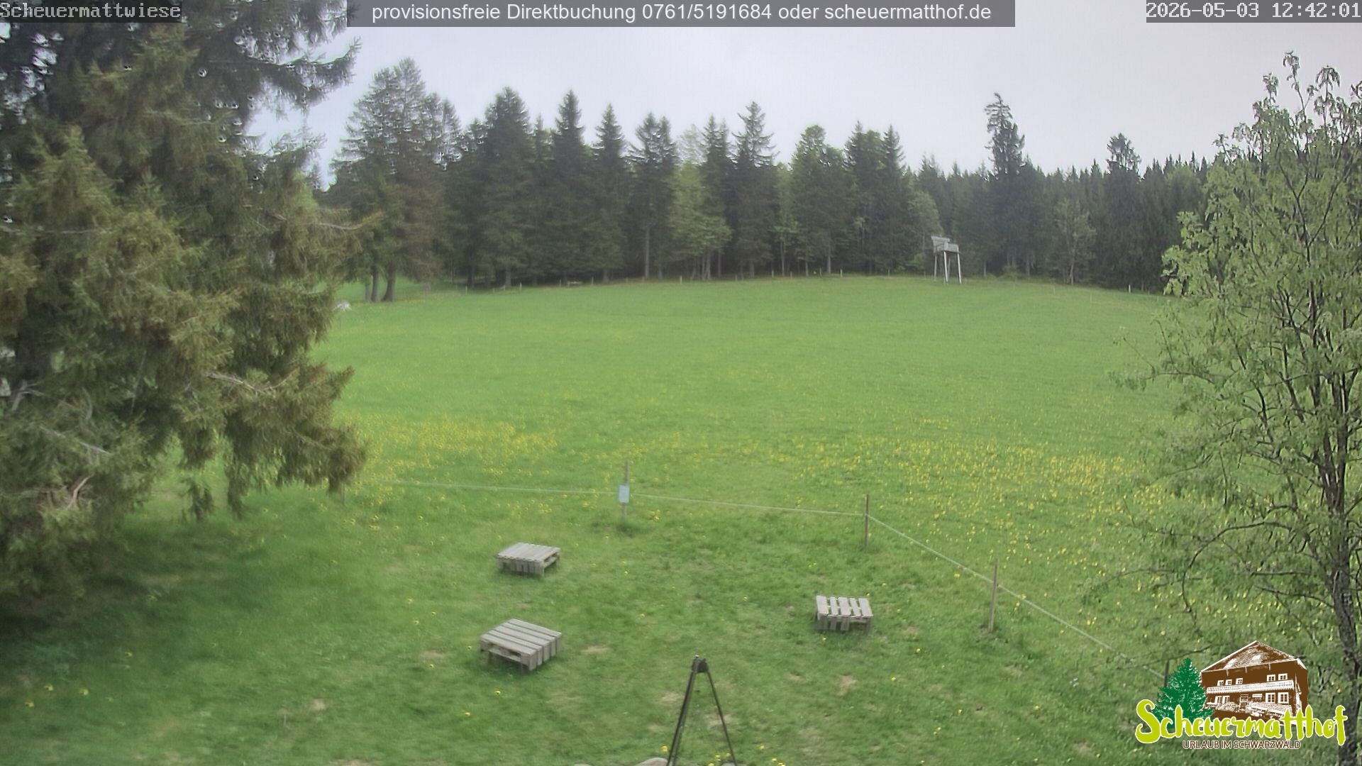 Archiv Foto Webcam Todtnauberg - Scheuermattwiese