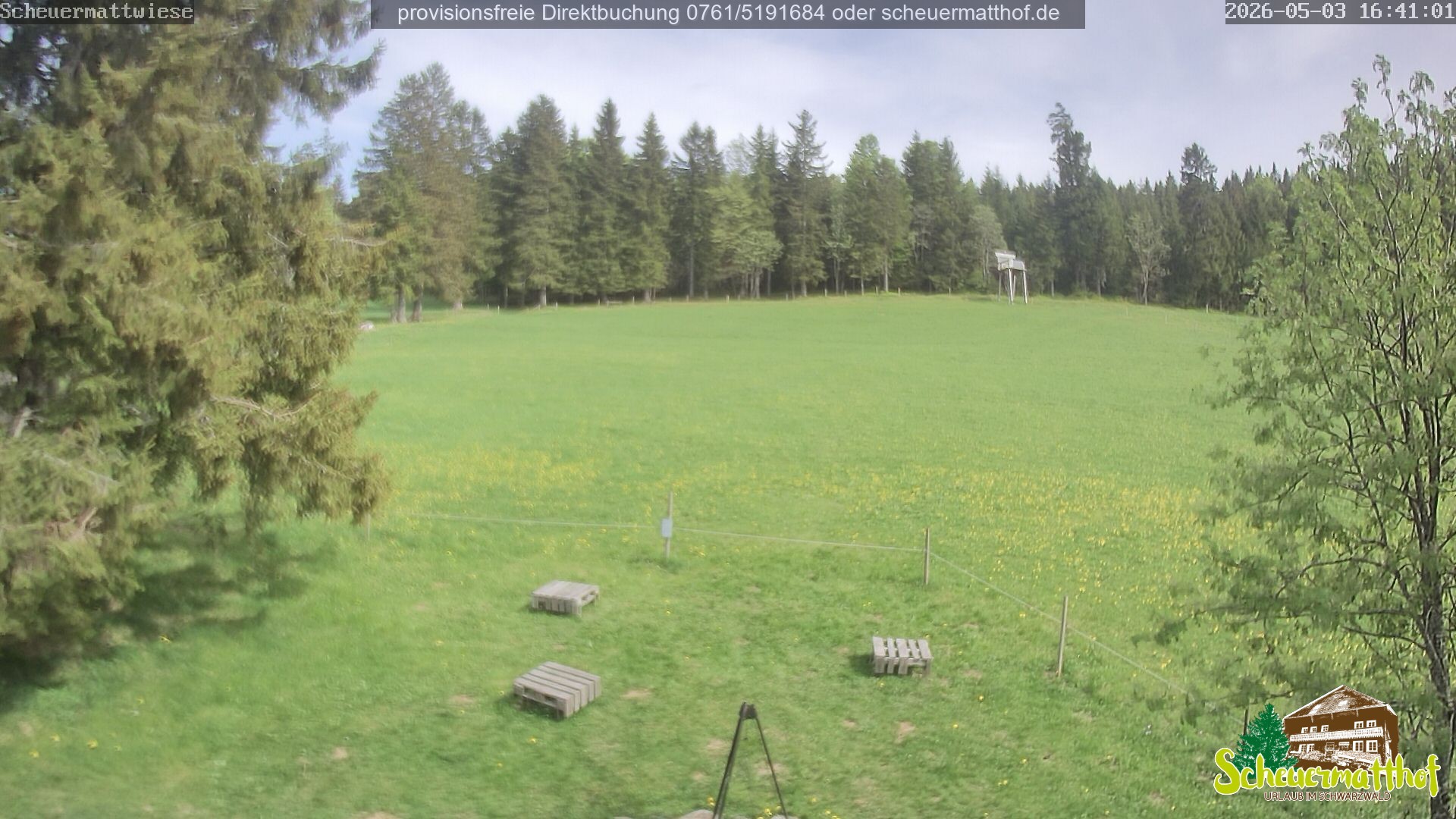 Archiv Foto Webcam Todtnauberg - Scheuermattwiese