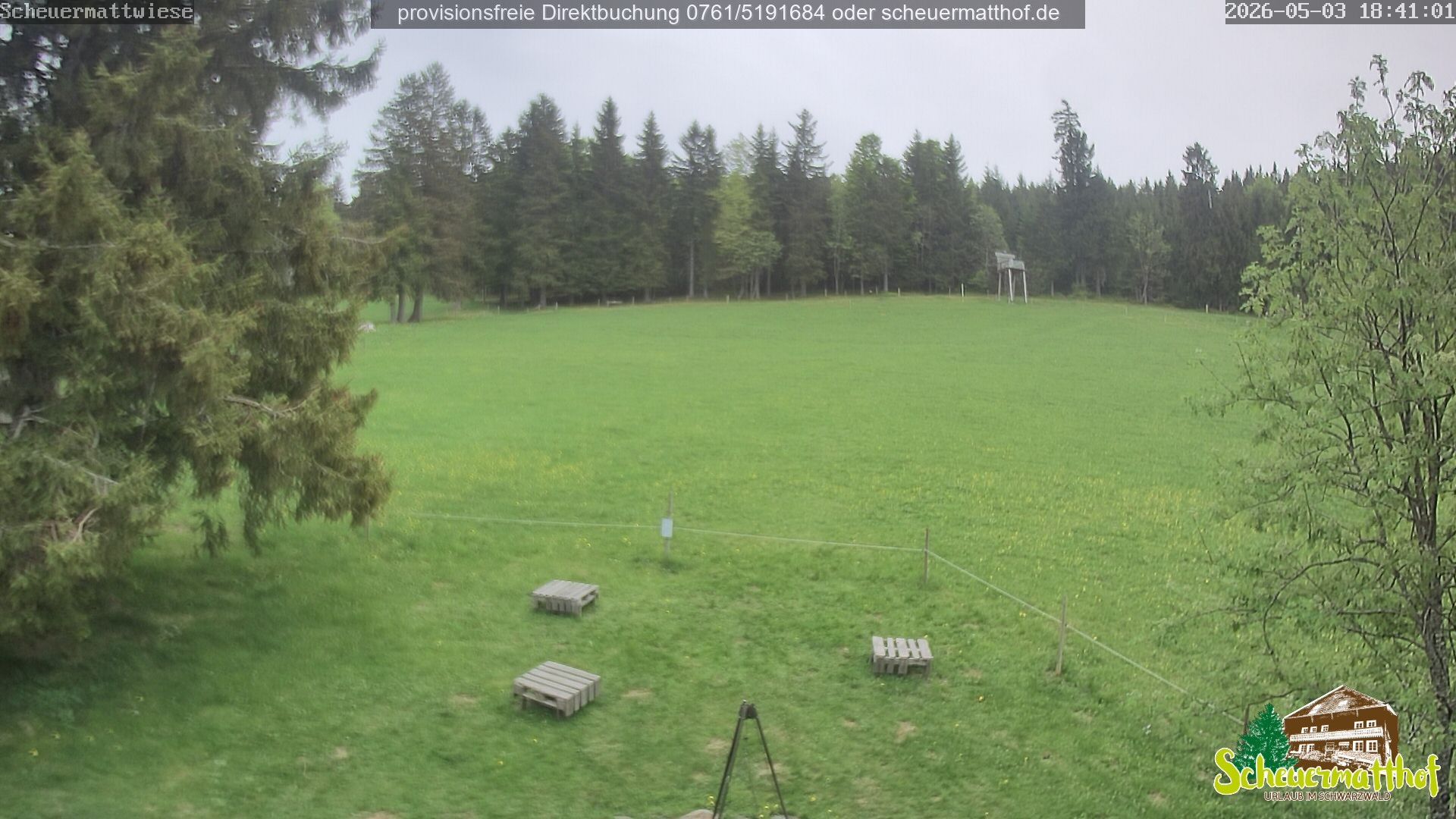 Archiv Foto Webcam Todtnauberg - Scheuermattwiese