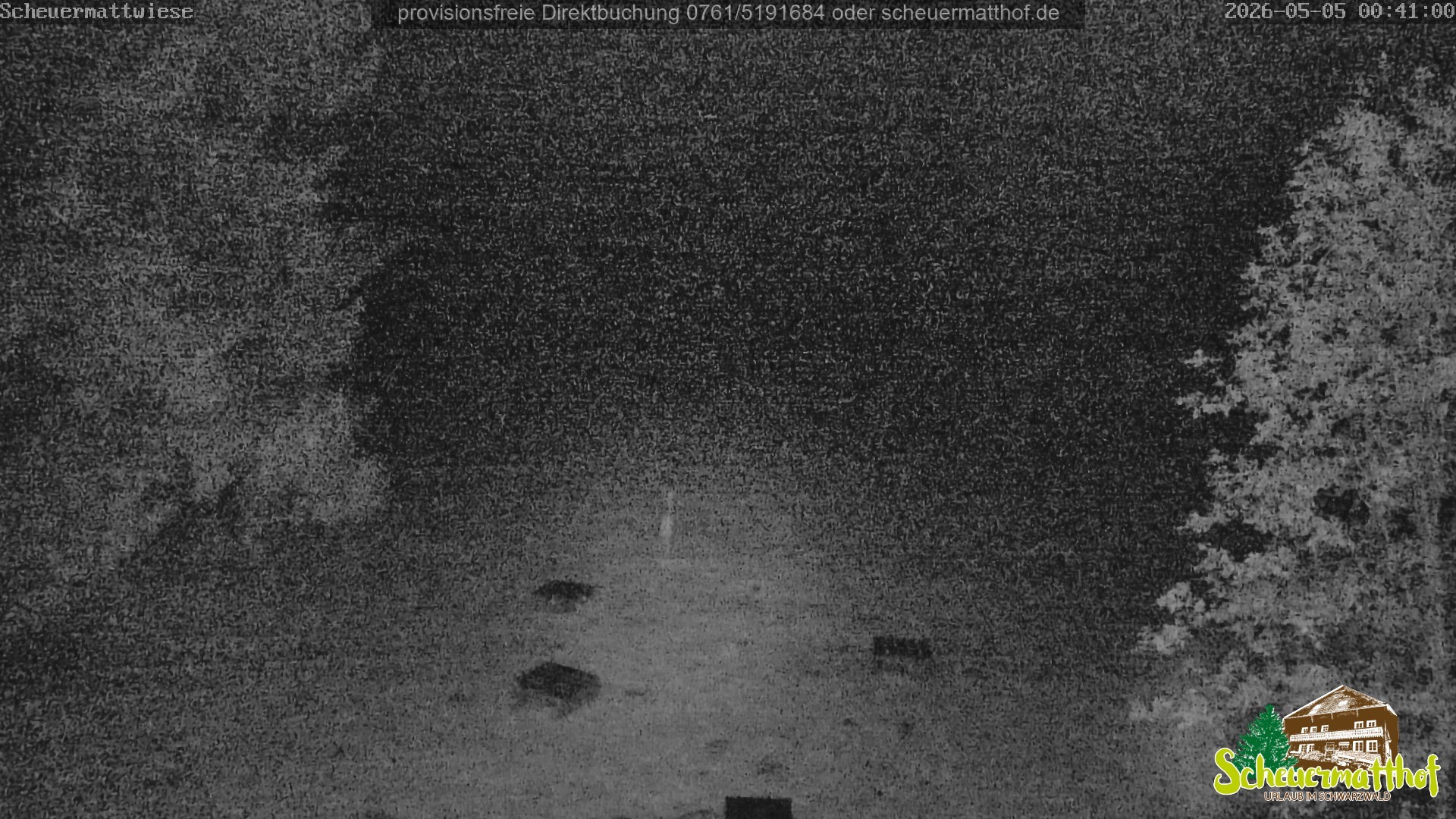 Archiv Foto Webcam Todtnauberg - Scheuermattwiese