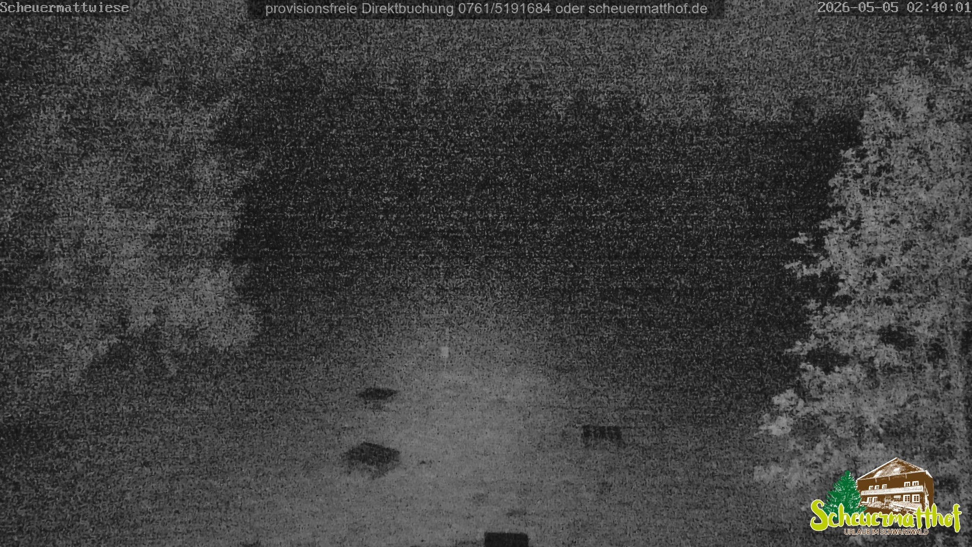 Archiv Foto Webcam Todtnauberg - Scheuermattwiese