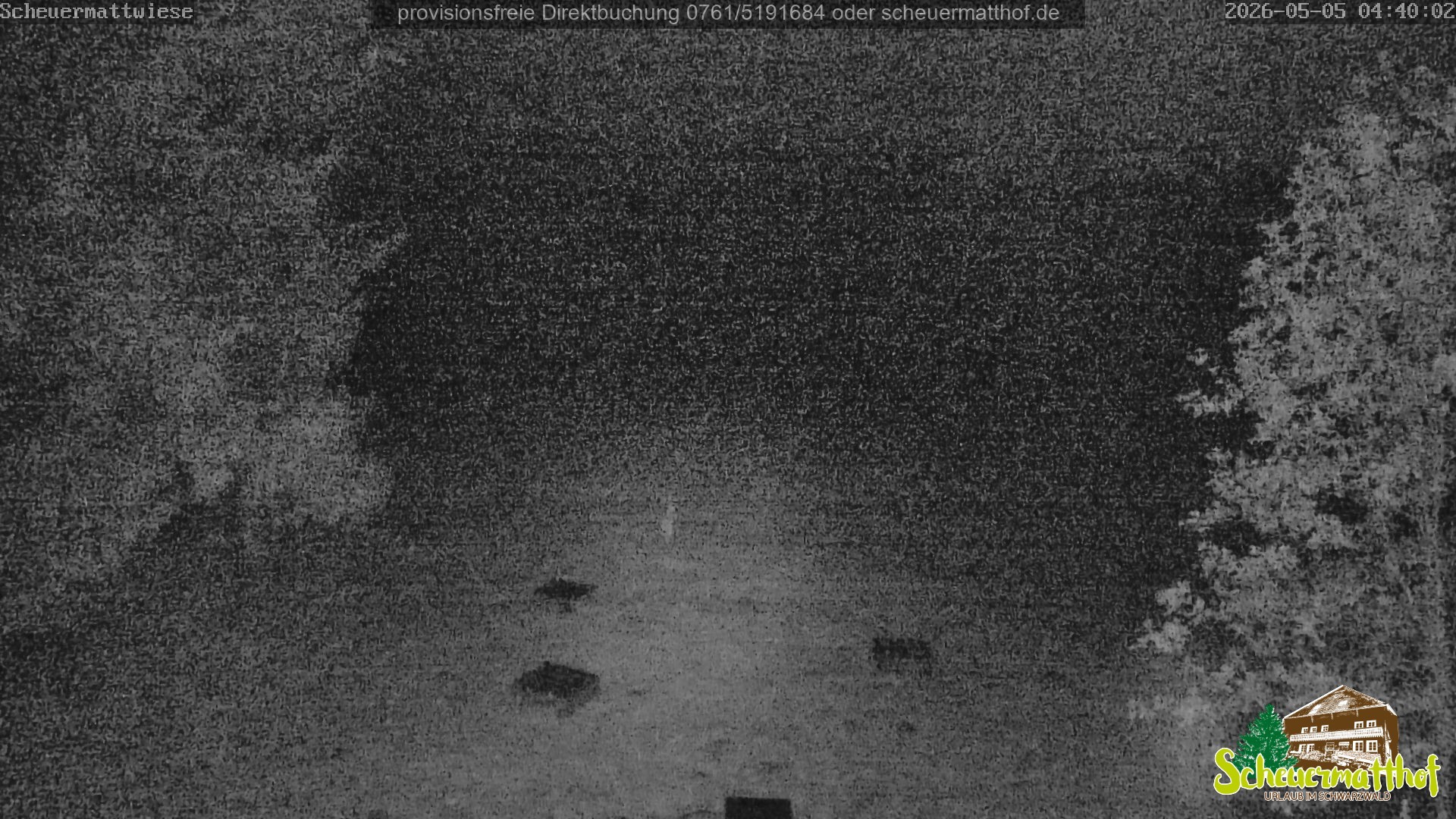 Archiv Foto Webcam Todtnauberg - Scheuermattwiese