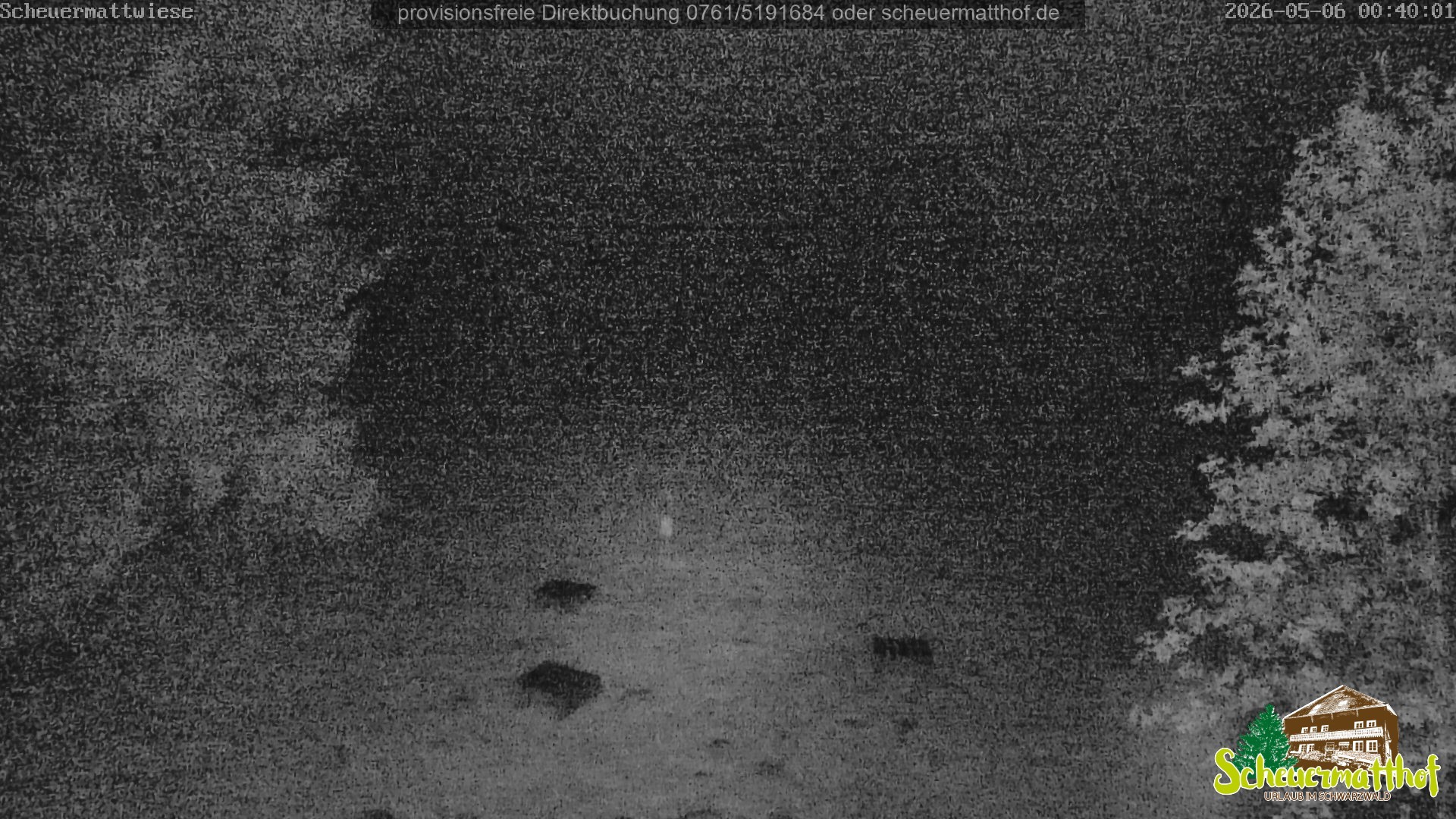 Archived image Webcam Todtnauberg - Scheuermatthof