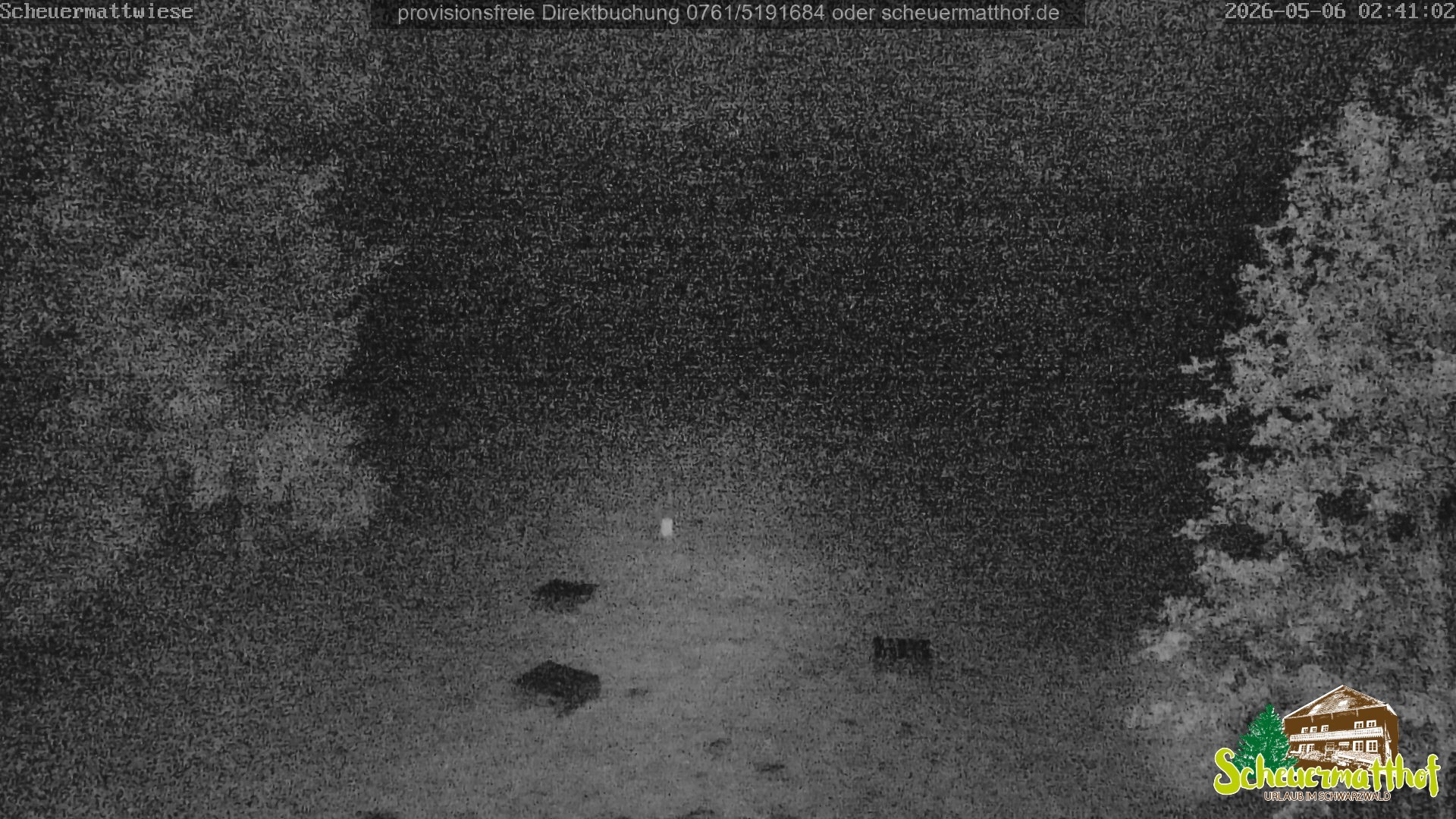 Archived image Webcam Todtnauberg - Scheuermatthof