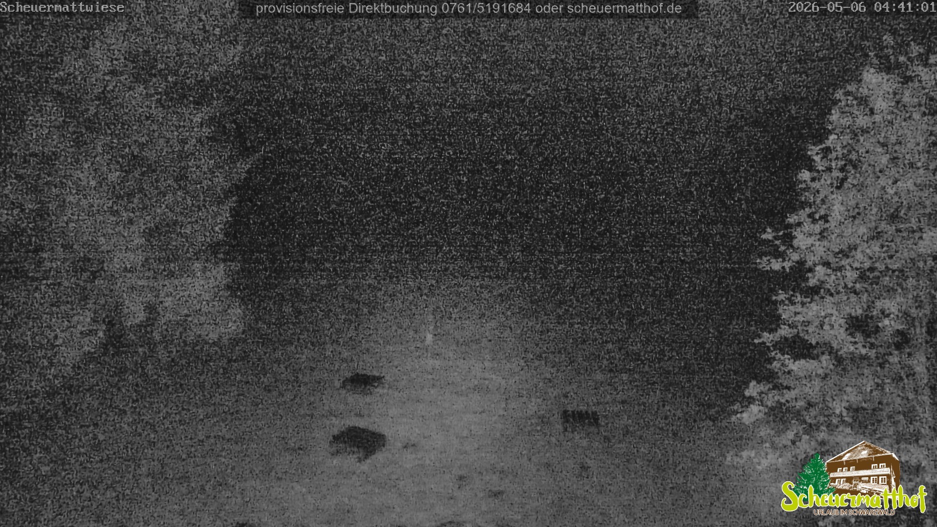 Archived image Webcam Todtnauberg - Scheuermatthof