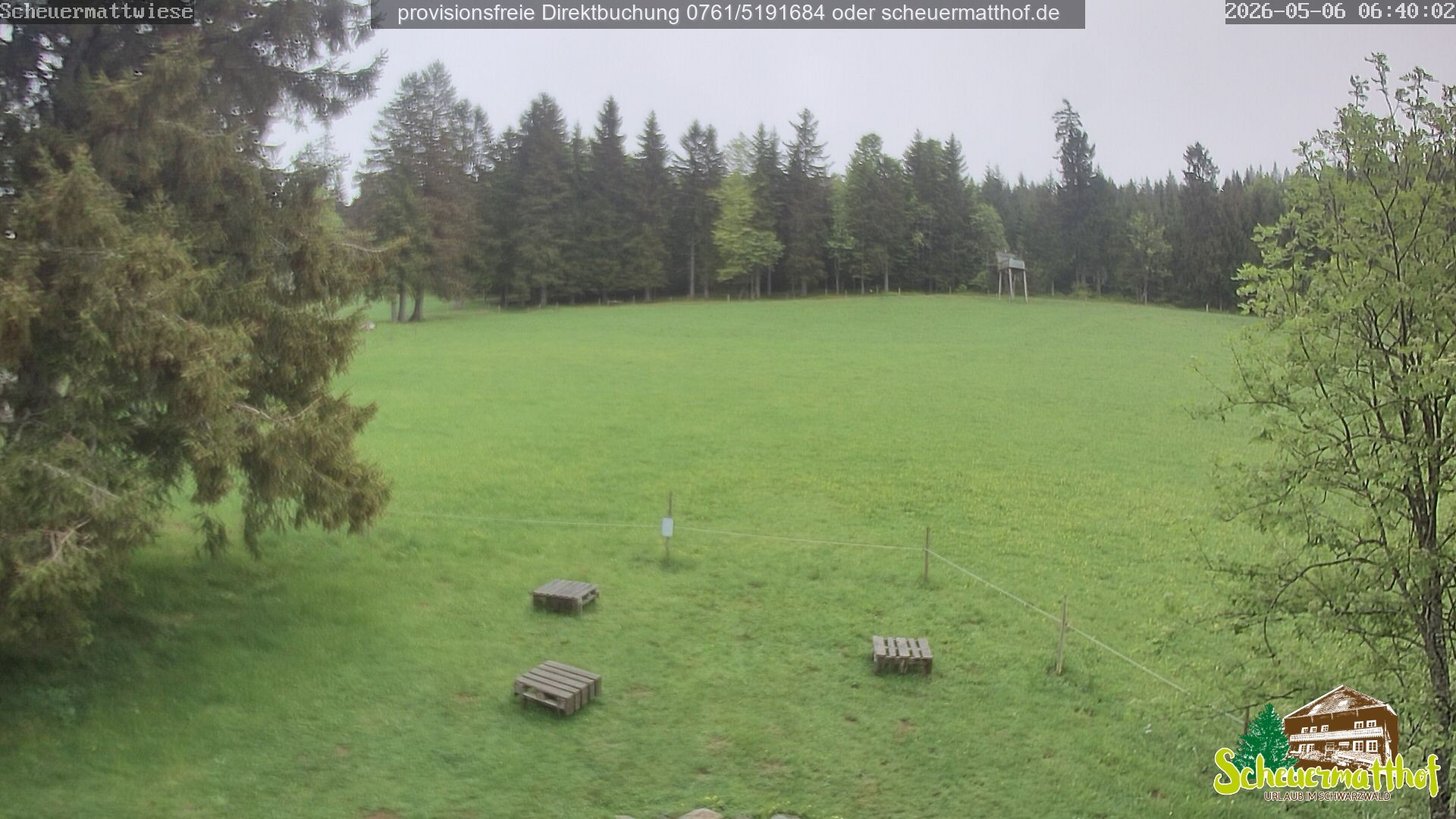 Archived image Webcam Todtnauberg - Scheuermatthof