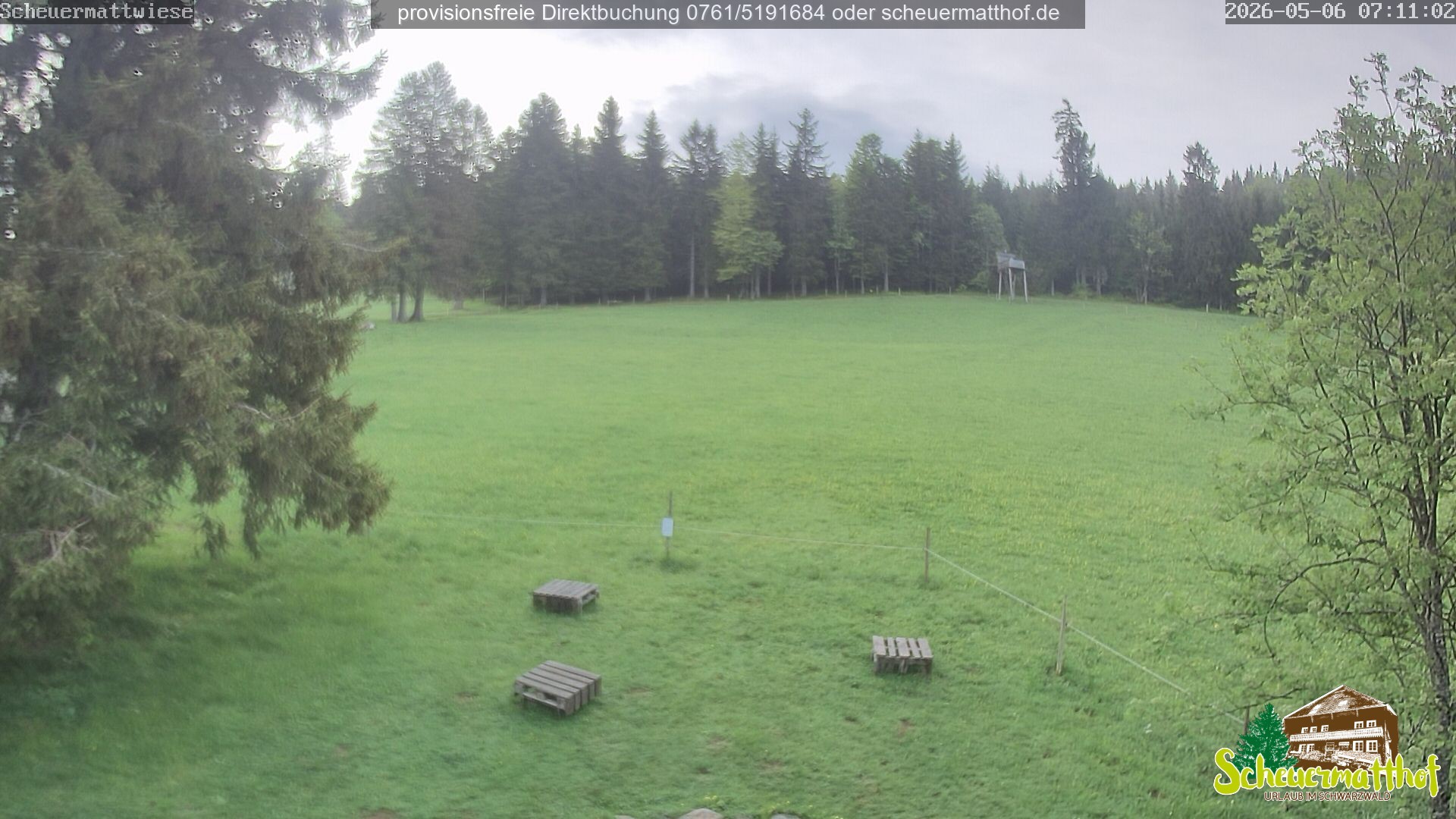 Archived image Webcam Todtnauberg - Scheuermatthof