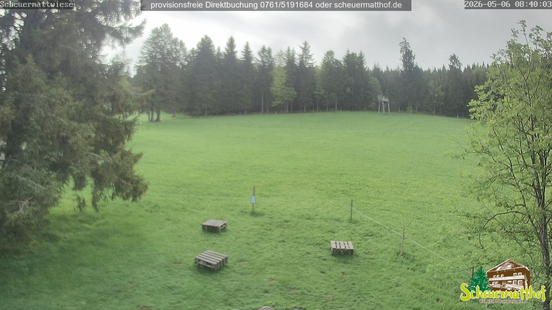 Archived image Webcam Todtnauberg - Scheuermatthof