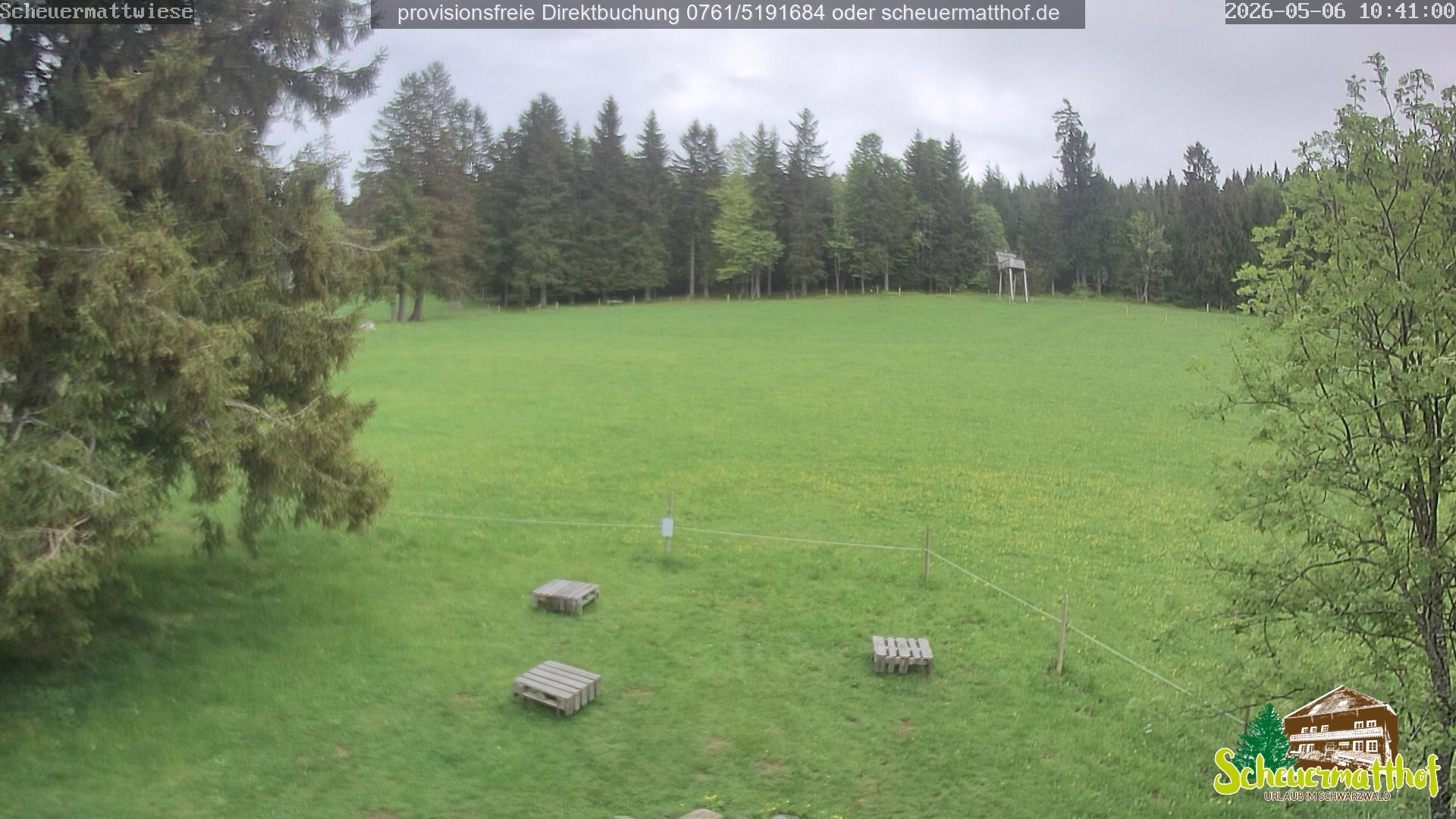 Archived image Webcam Todtnauberg - Scheuermatthof