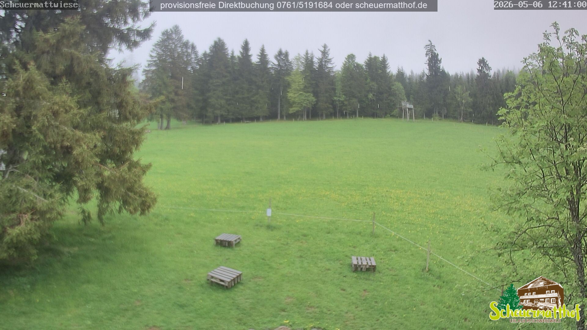 Archived image Webcam Todtnauberg - Scheuermatthof