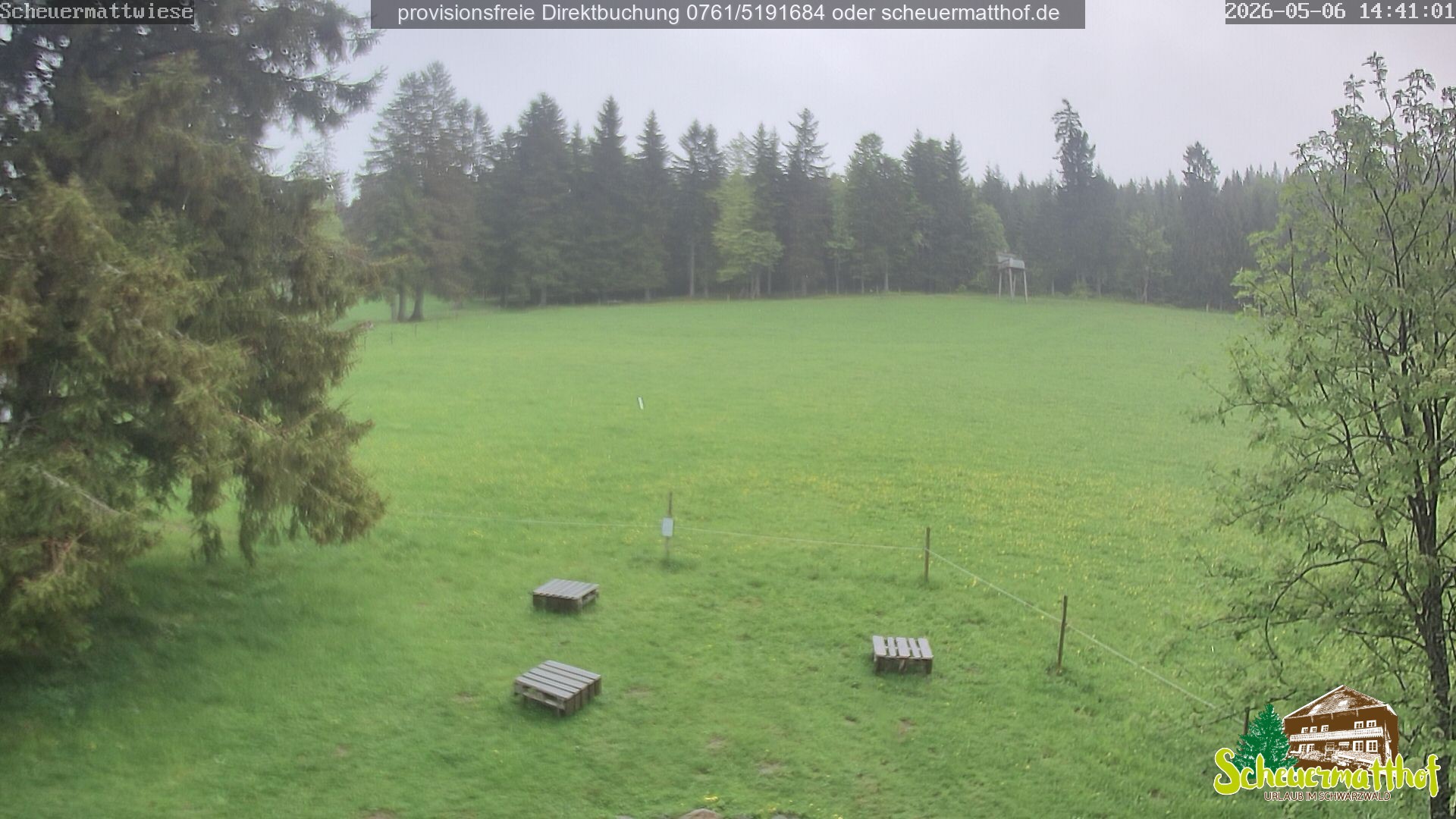 Archived image Webcam Todtnauberg - Scheuermatthof