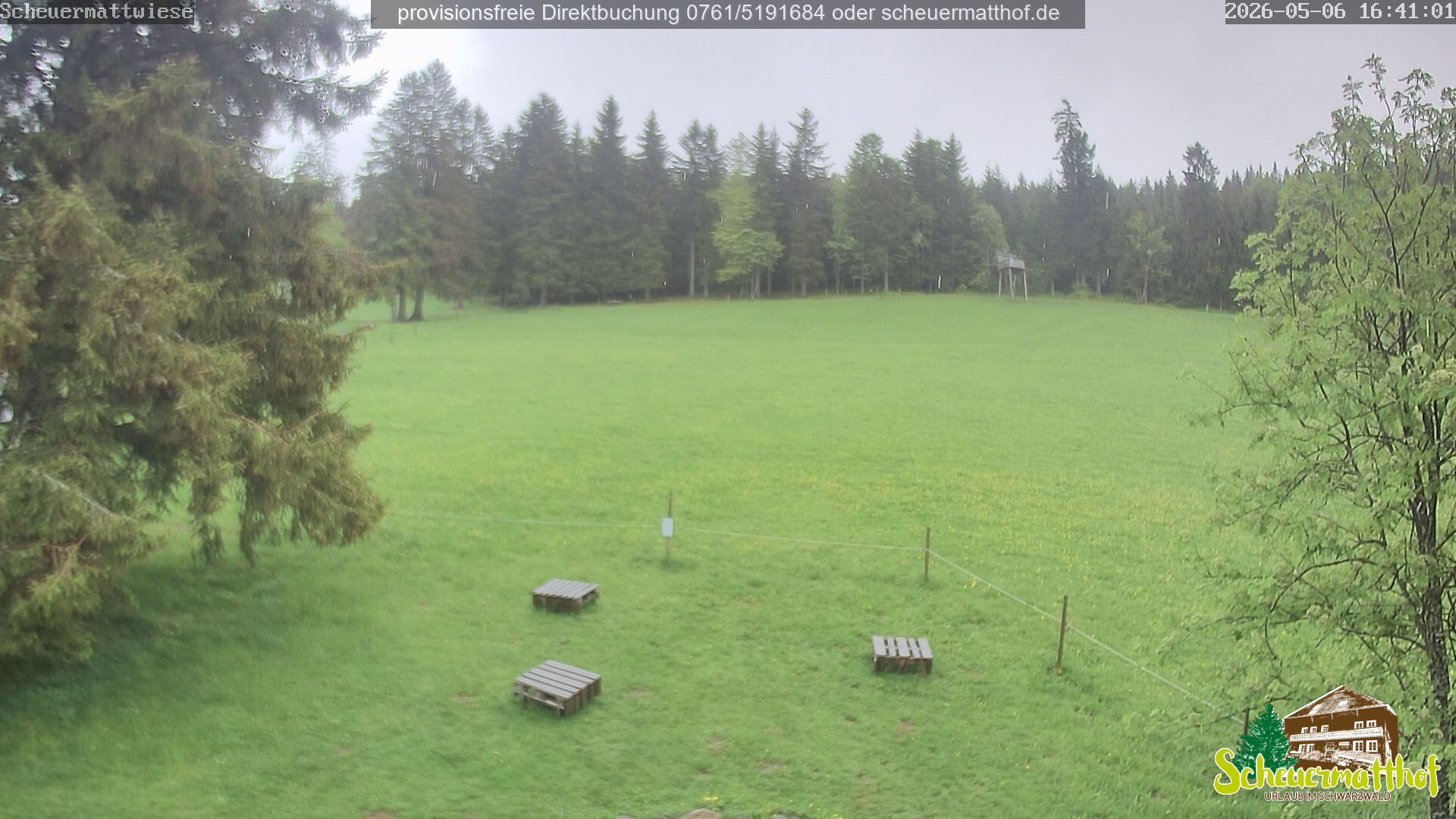 Archived image Webcam Todtnauberg - Scheuermatthof