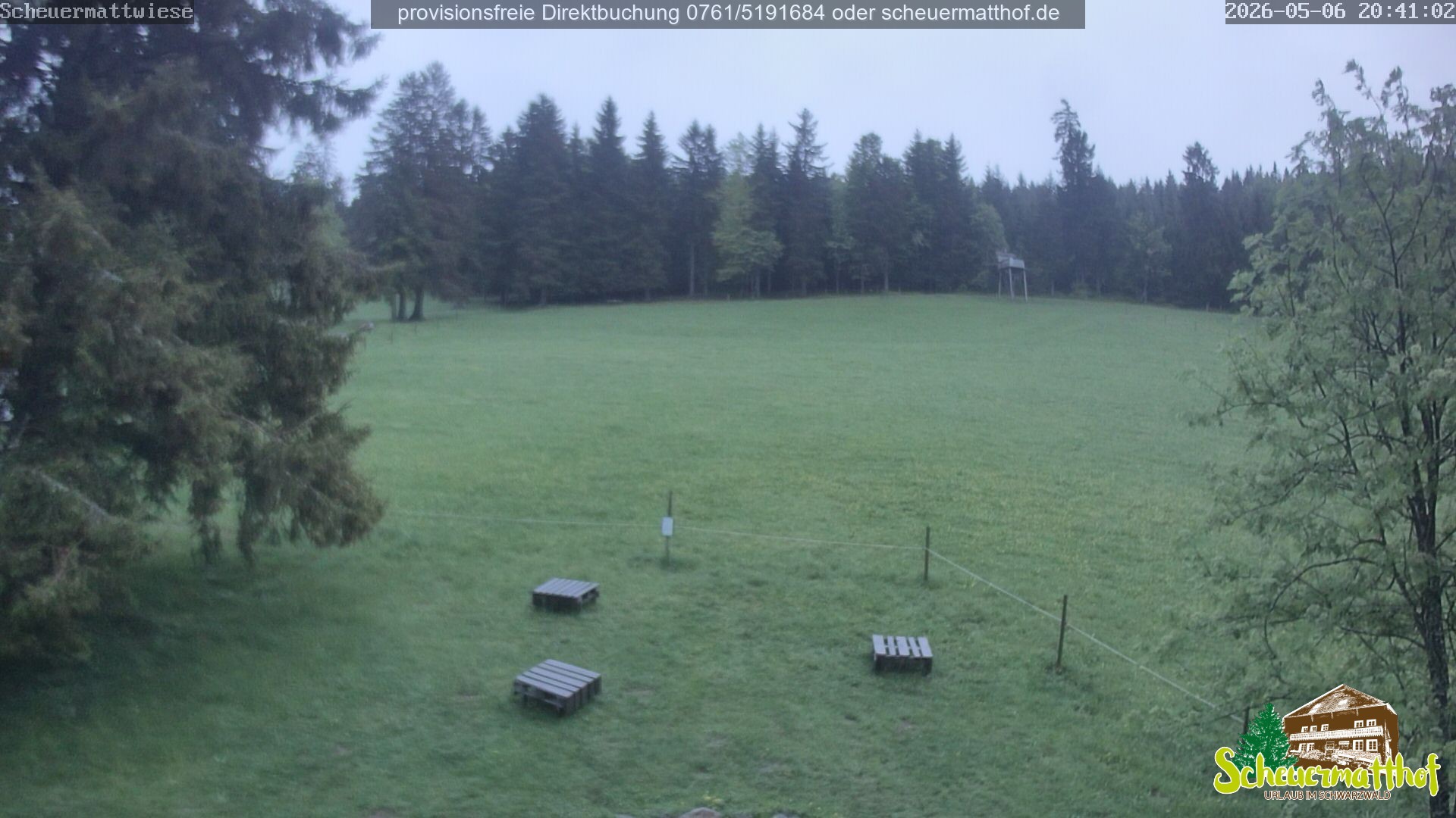 Archived image Webcam Todtnauberg - Scheuermatthof