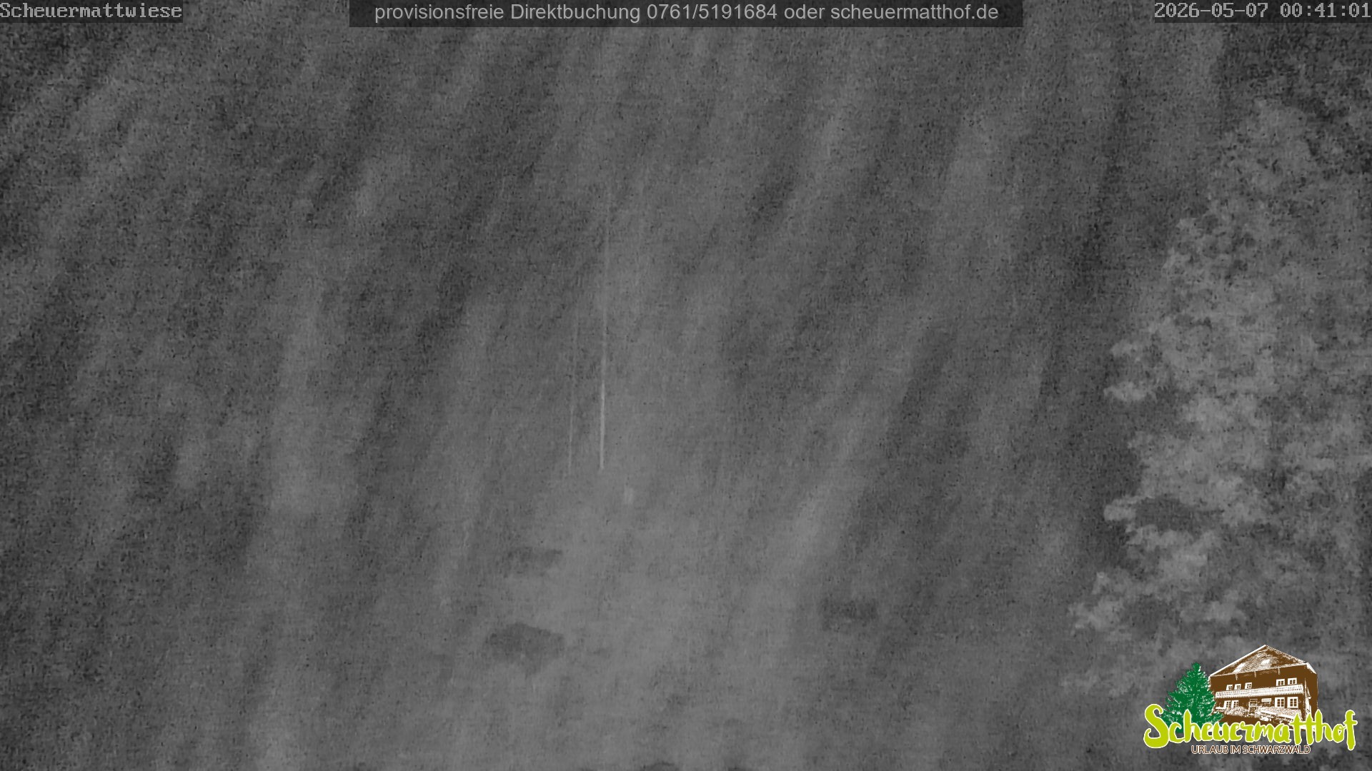 Archived image Webcam Todtnauberg - Scheuermatthof