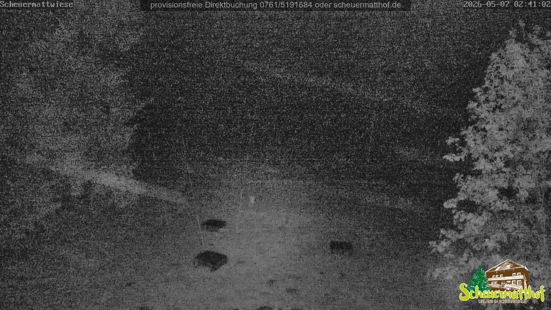 Archived image Webcam Todtnauberg - Scheuermatthof