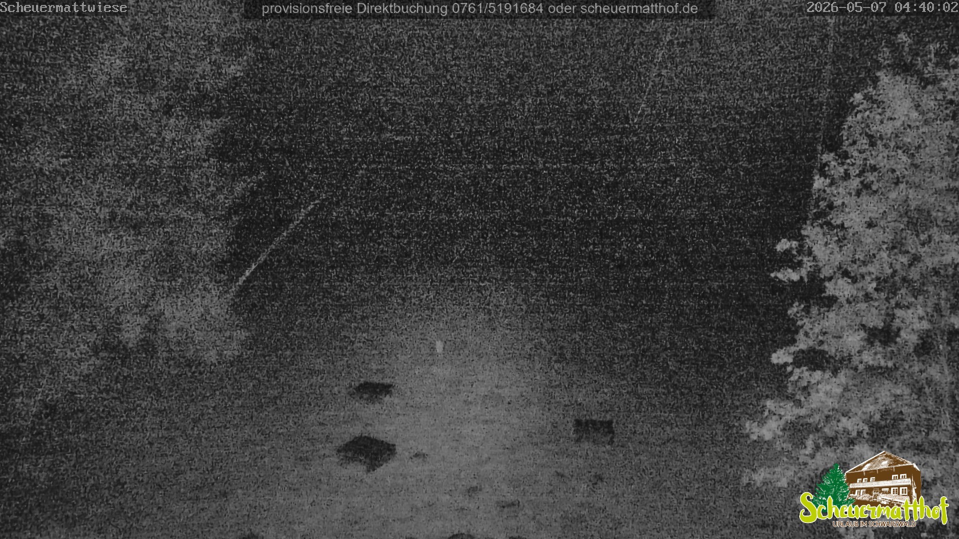 Archived image Webcam Todtnauberg - Scheuermatthof