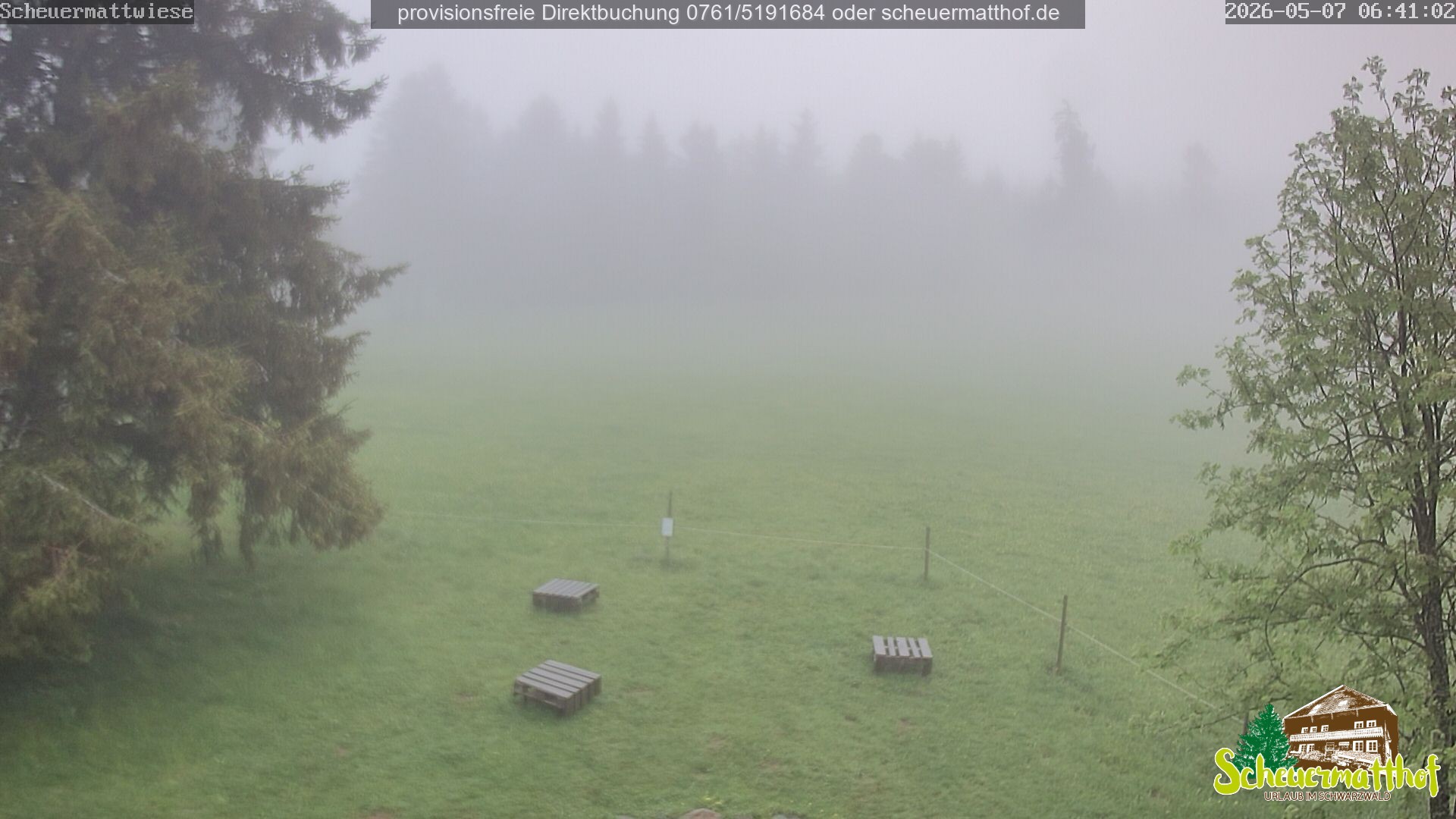 Archived image Webcam Todtnauberg - Scheuermatthof