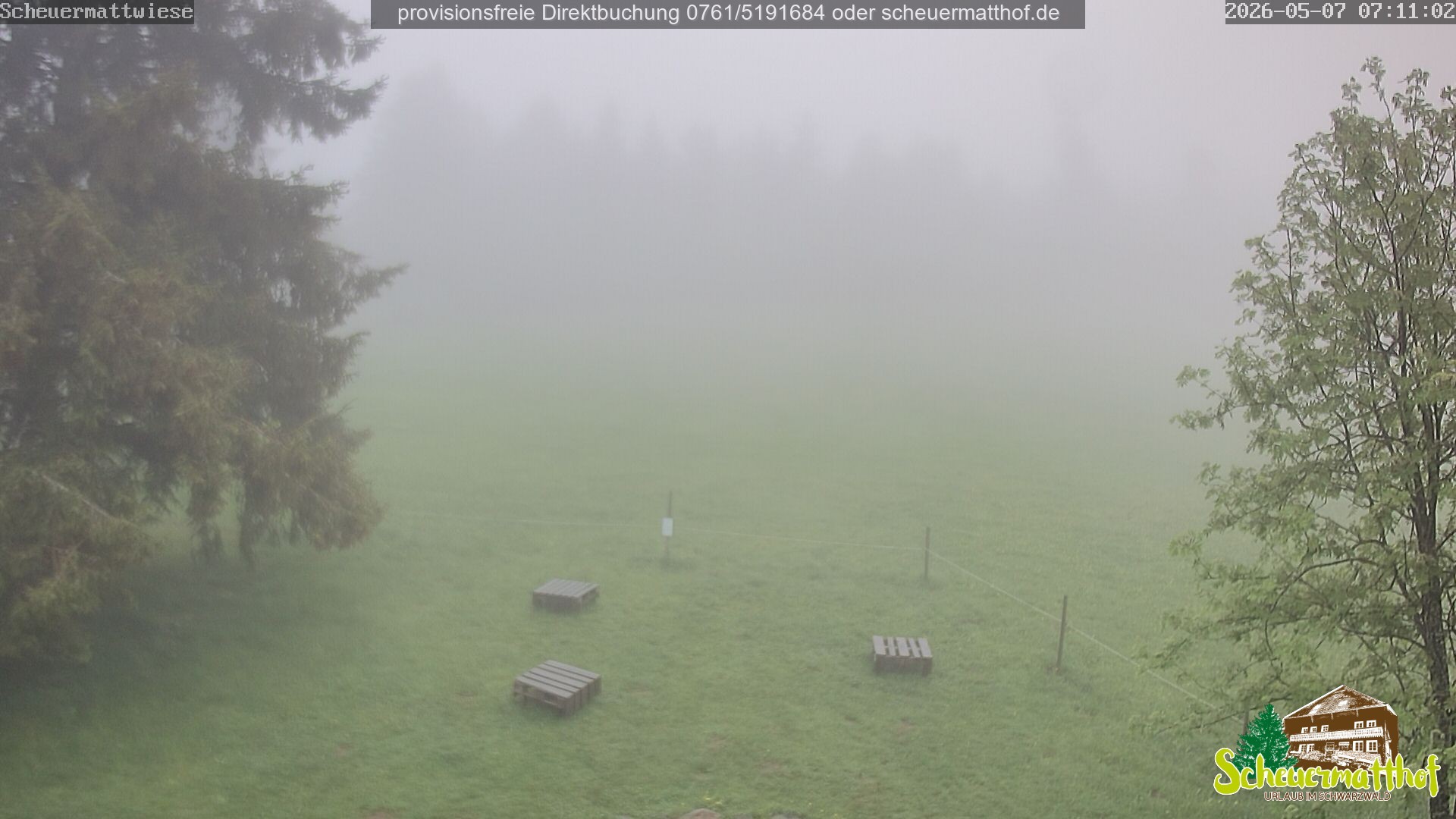 Archived image Webcam Todtnauberg - Scheuermatthof