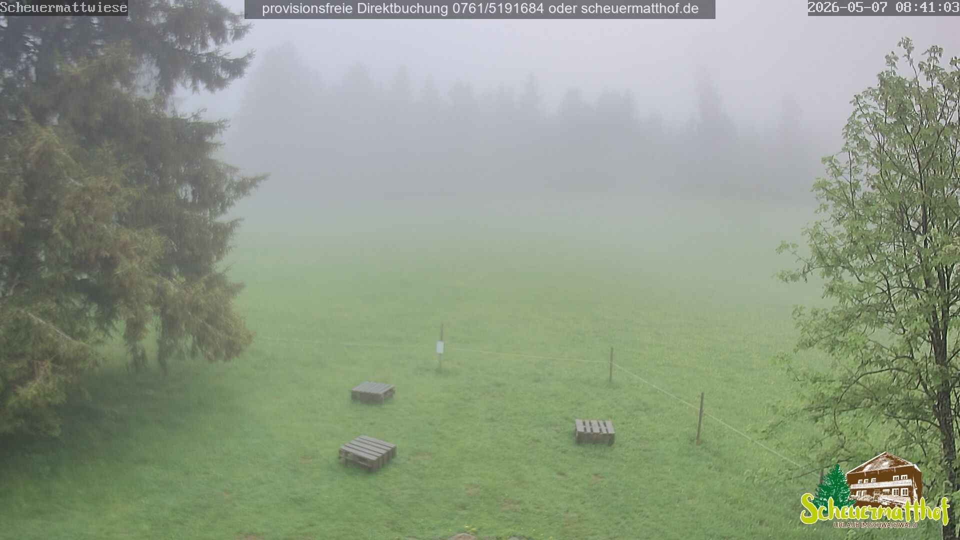 Archived image Webcam Todtnauberg - Scheuermatthof