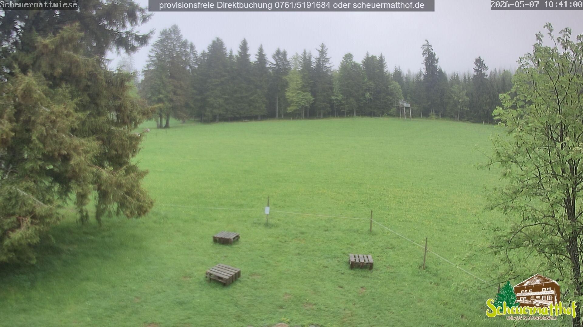 Archived image Webcam Todtnauberg - Scheuermatthof