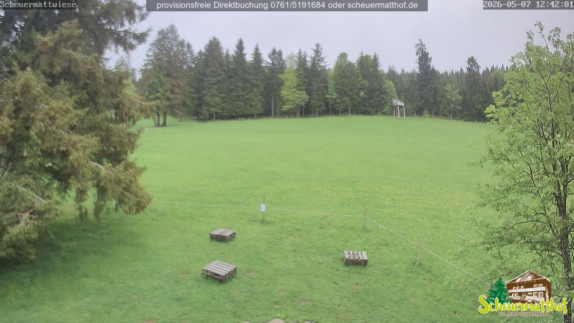 Archived image Webcam Todtnauberg - Scheuermatthof