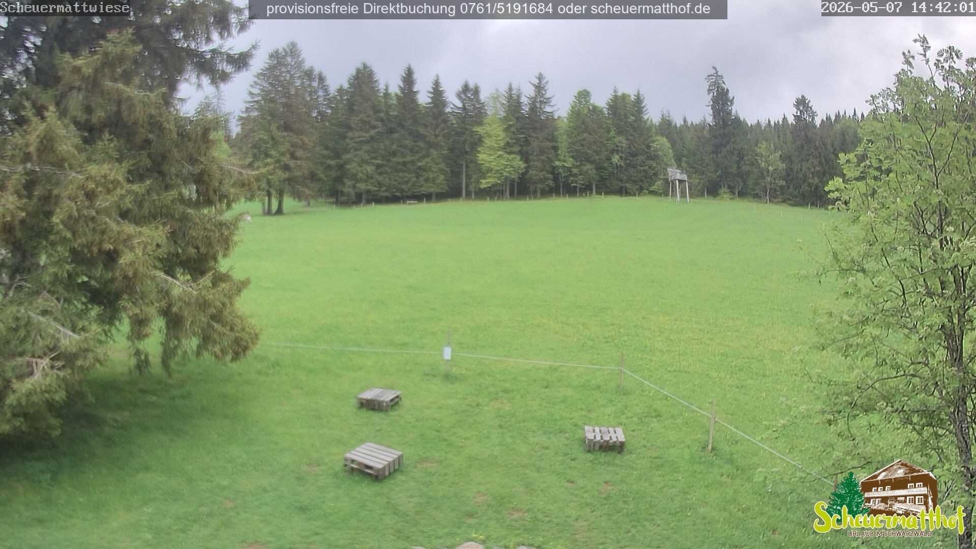Archived image Webcam Todtnauberg - Scheuermatthof