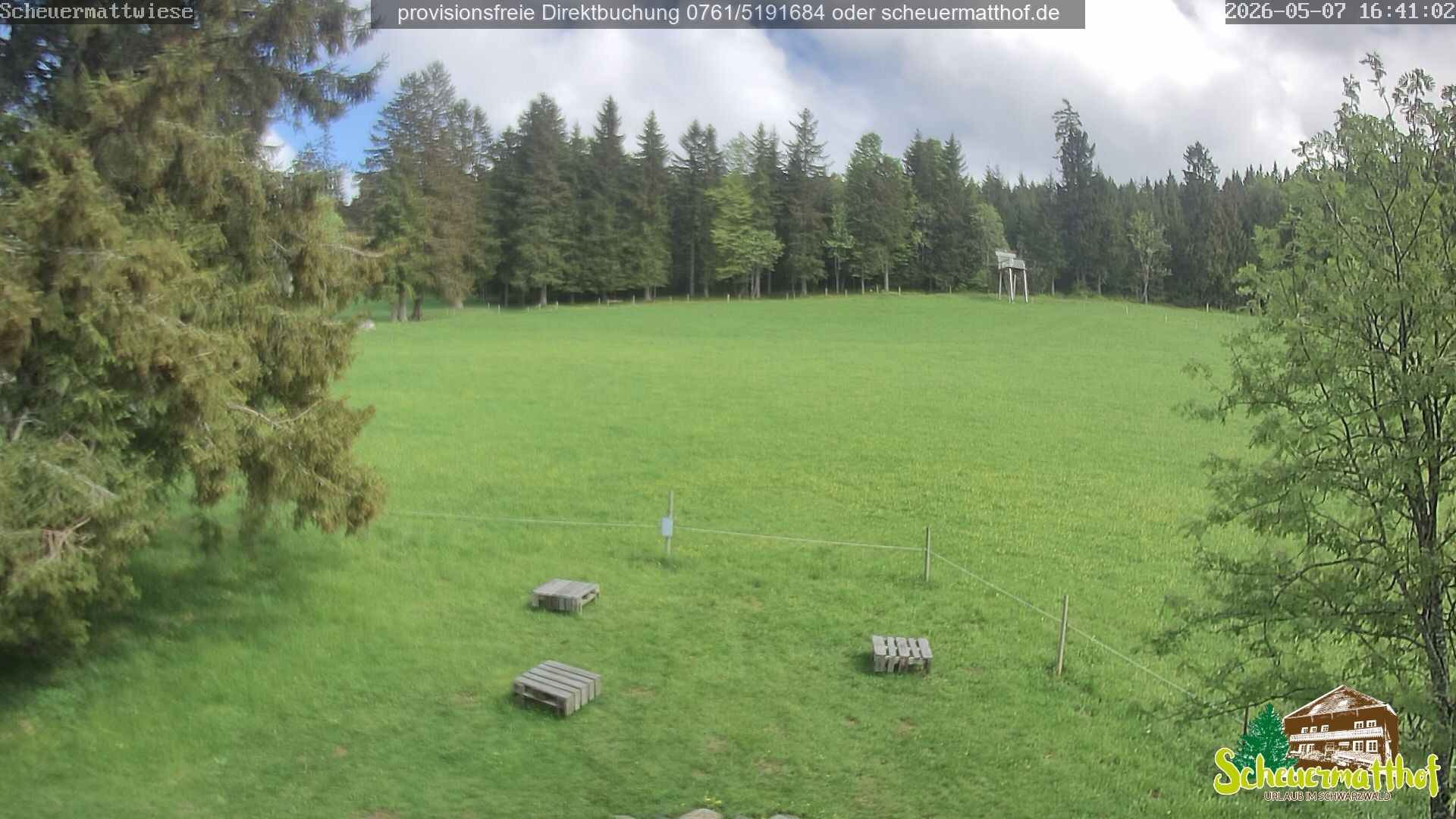 Archived image Webcam Todtnauberg - Scheuermatthof