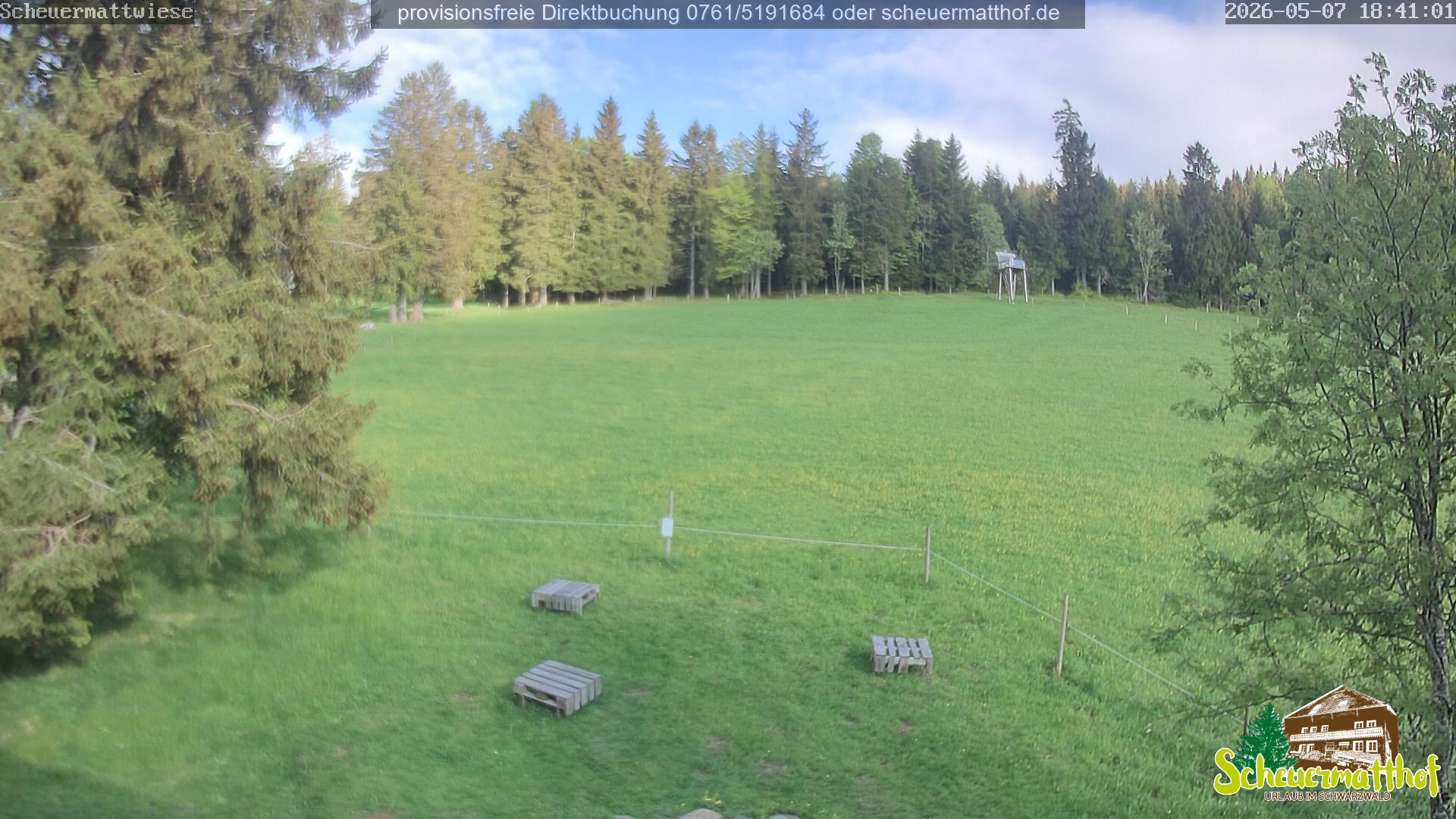 Archived image Webcam Todtnauberg - Scheuermatthof