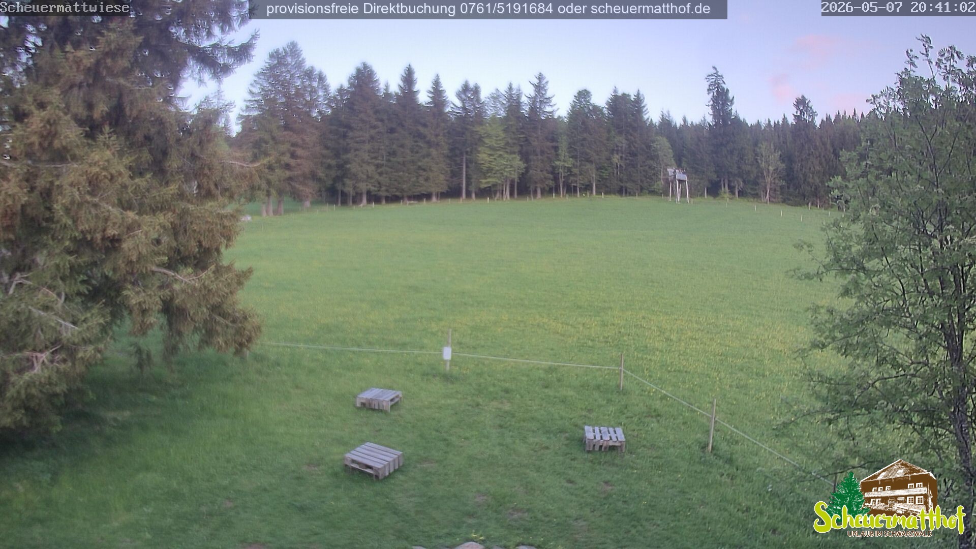 Archived image Webcam Todtnauberg - Scheuermatthof