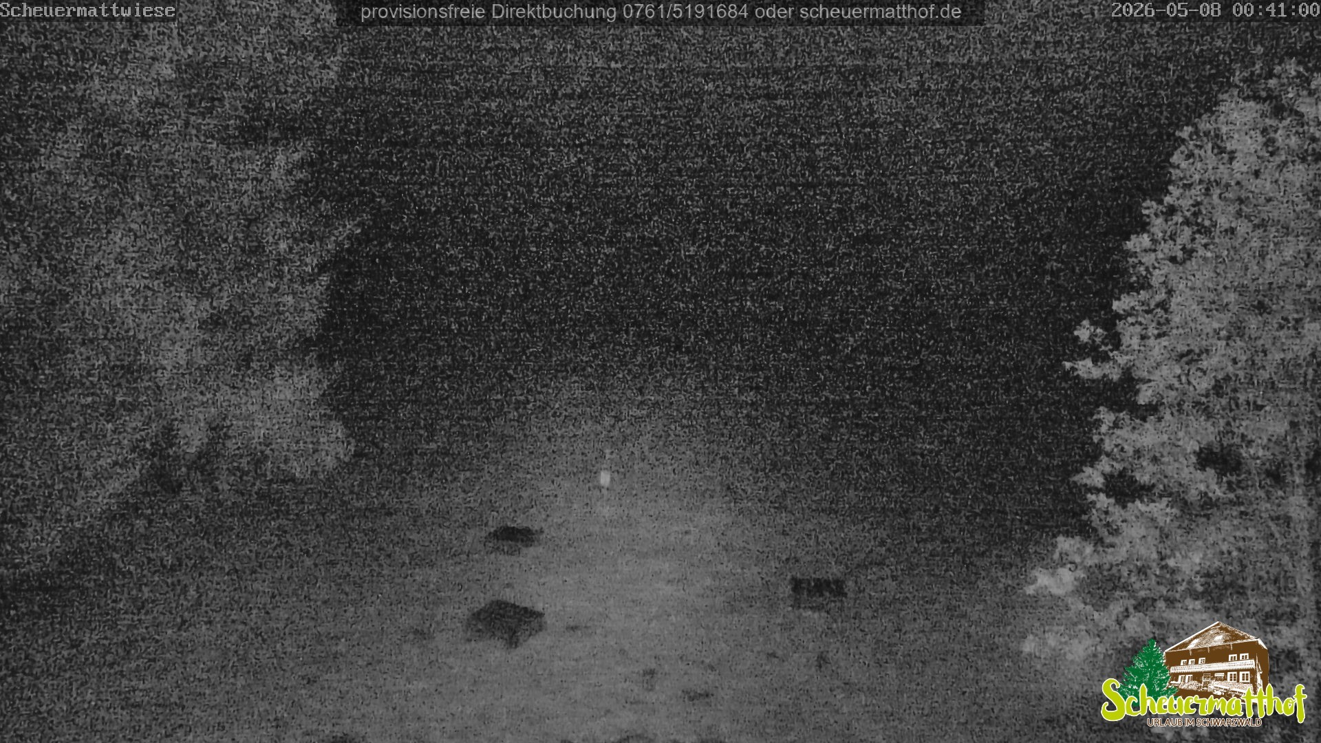 Archiv Foto Webcam Todtnauberg - Scheuermattwiese