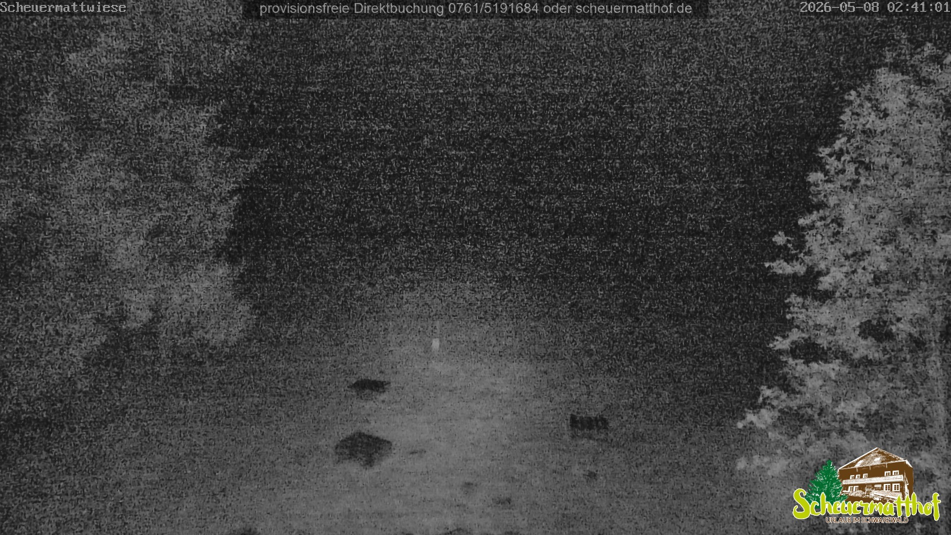Archiv Foto Webcam Todtnauberg - Scheuermattwiese
