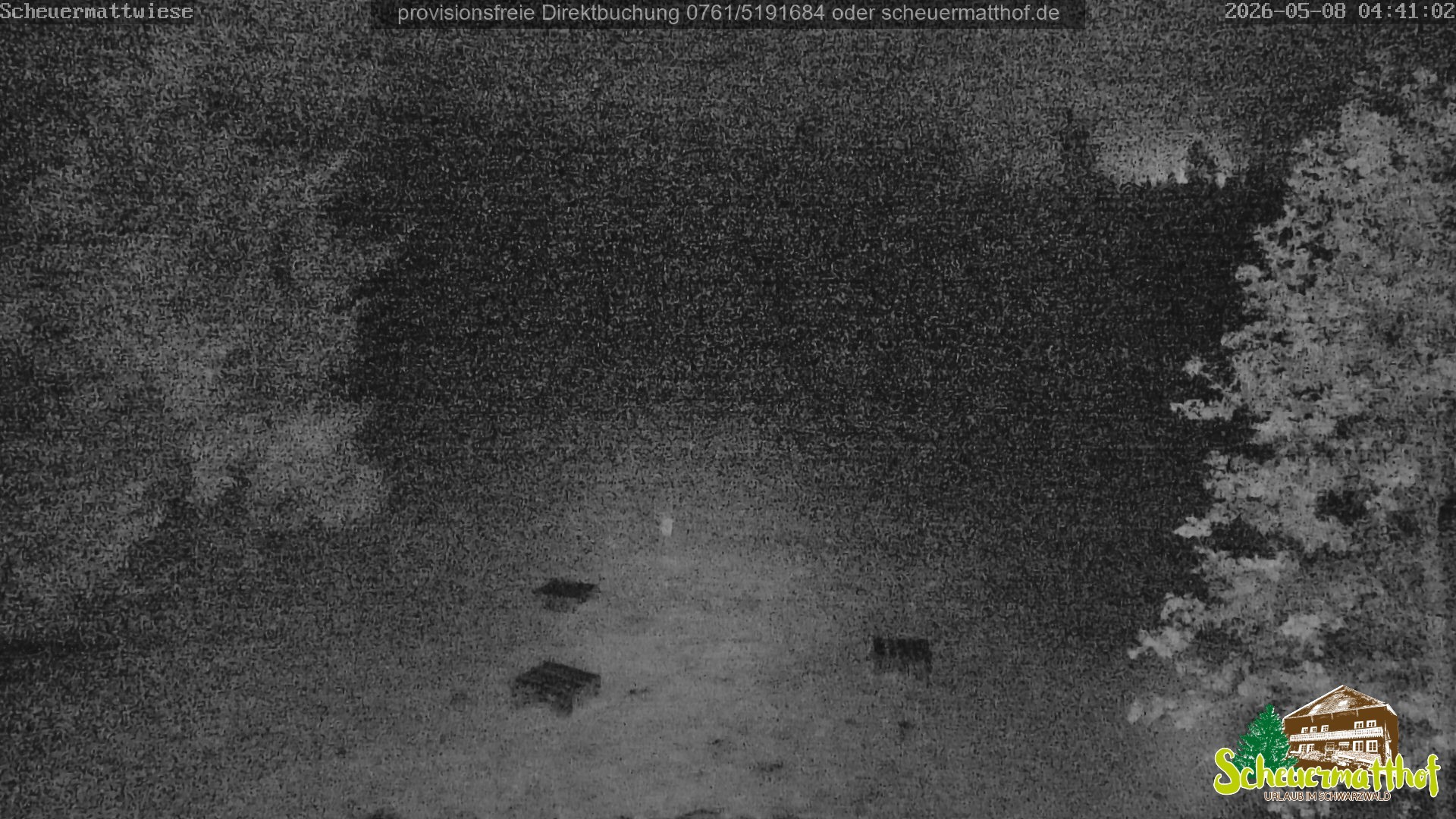 Archiv Foto Webcam Todtnauberg - Scheuermattwiese