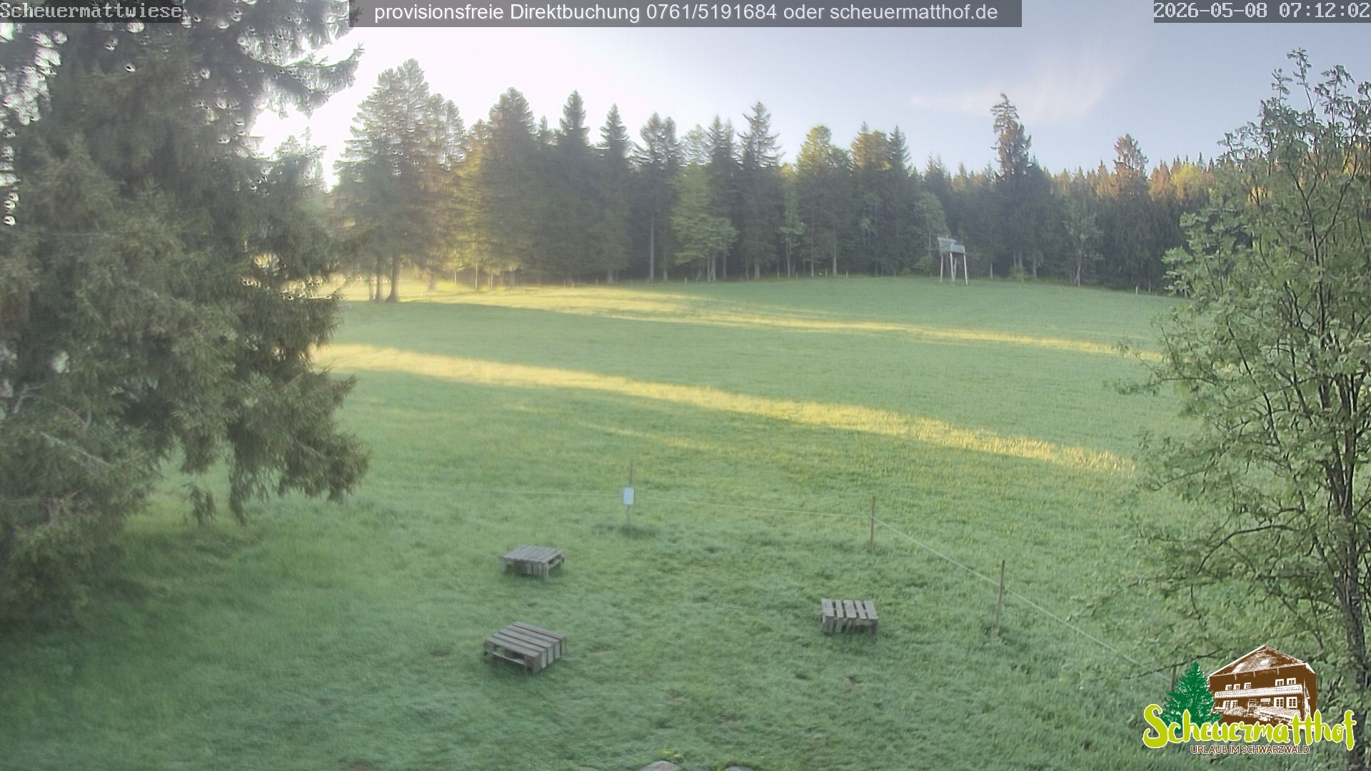 Archiv Foto Webcam Todtnauberg - Scheuermattwiese