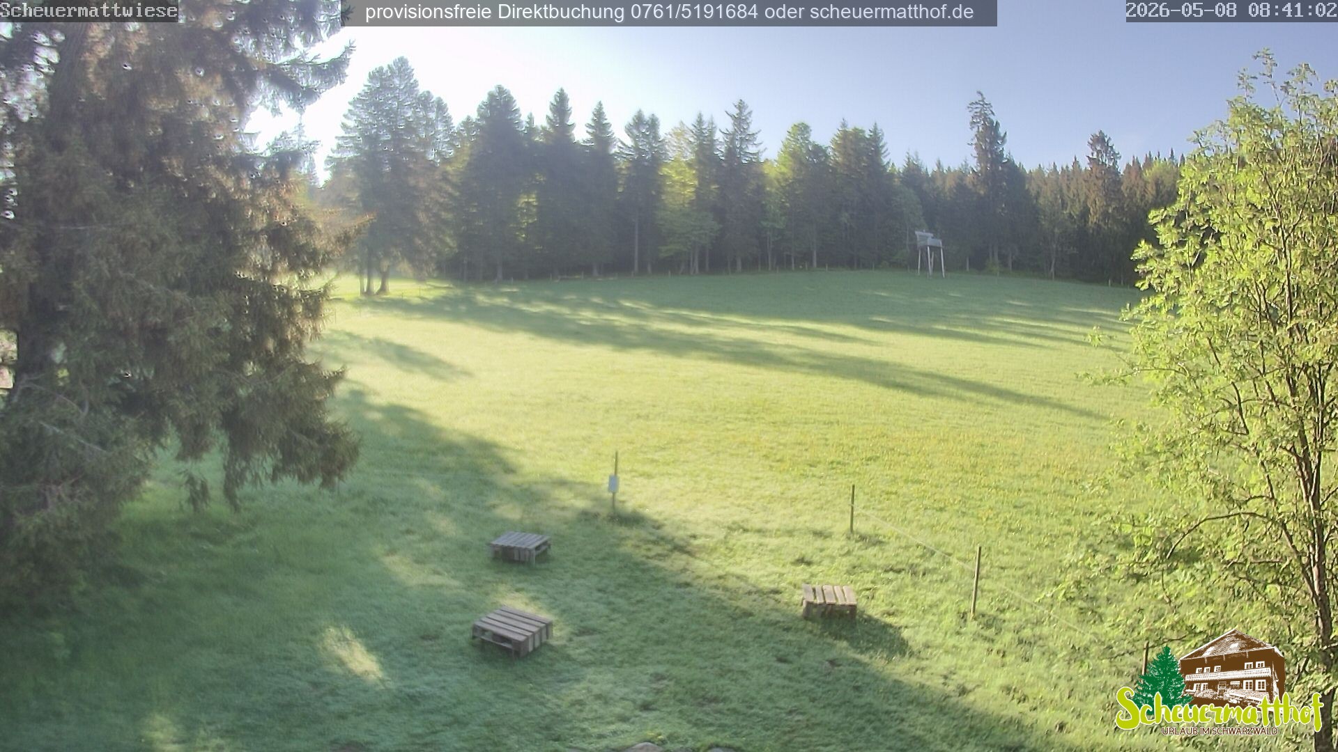 Archiv Foto Webcam Todtnauberg - Scheuermattwiese
