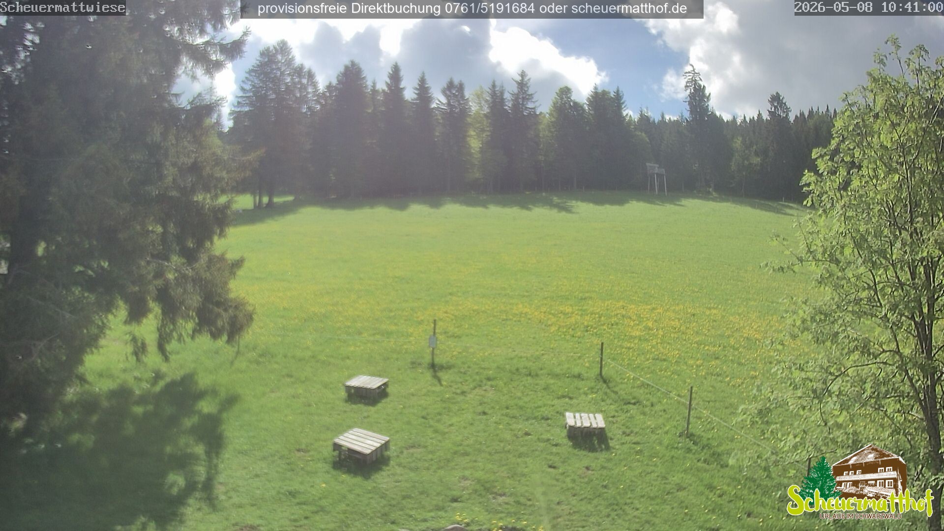 Archiv Foto Webcam Todtnauberg - Scheuermattwiese