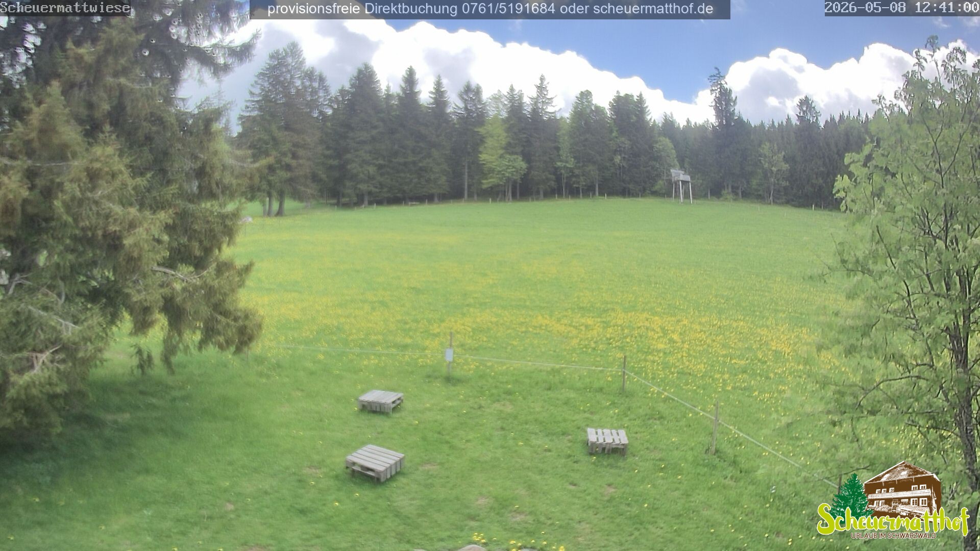 Archiv Foto Webcam Todtnauberg - Scheuermattwiese