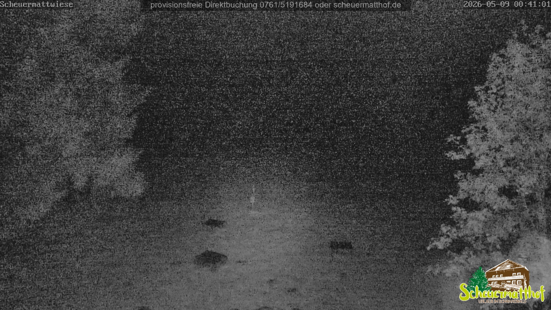 Archiv Foto Webcam Todtnauberg - Scheuermattwiese