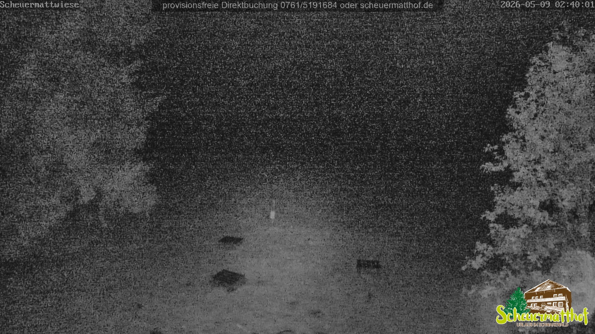 Archiv Foto Webcam Todtnauberg - Scheuermattwiese