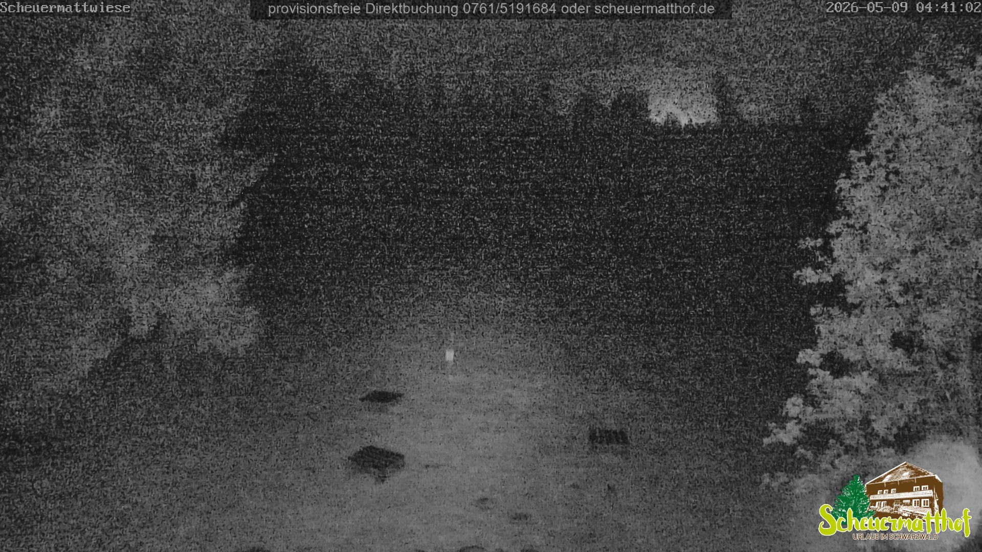 Archiv Foto Webcam Todtnauberg - Scheuermattwiese