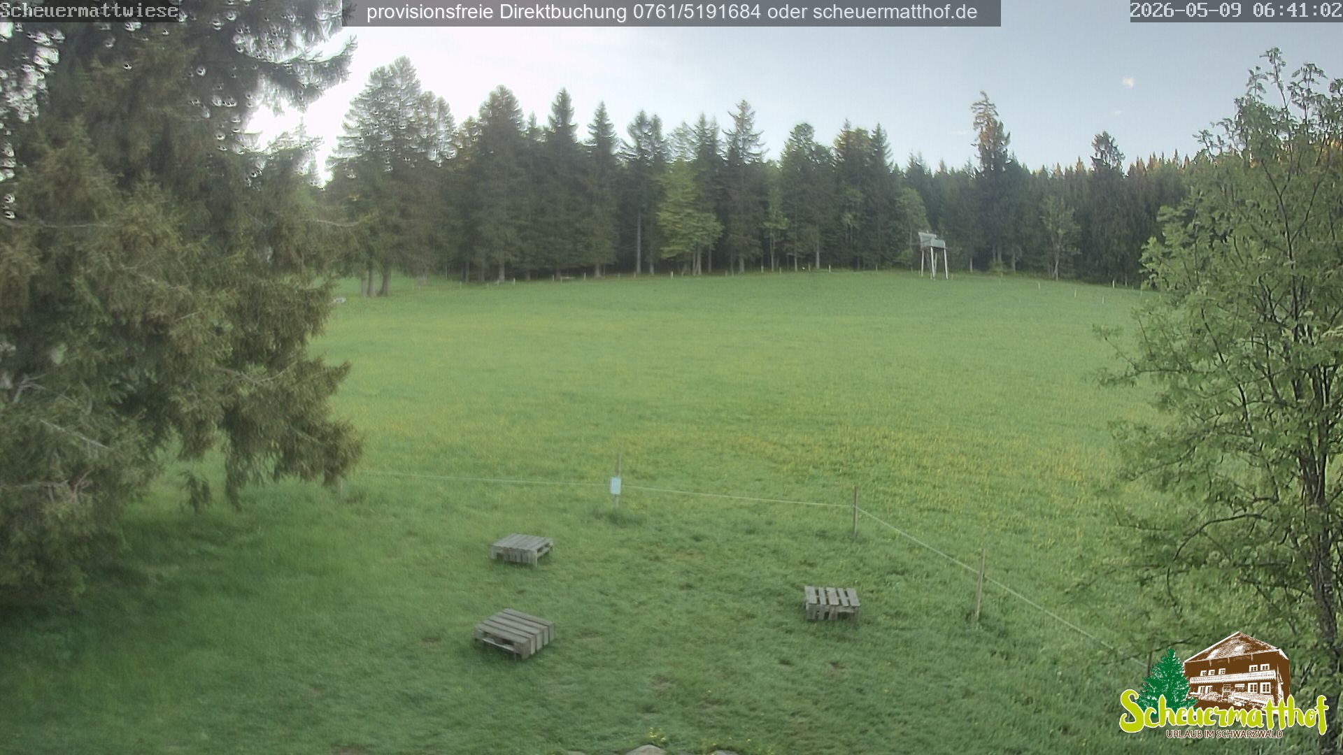 Archiv Foto Webcam Todtnauberg - Scheuermattwiese
