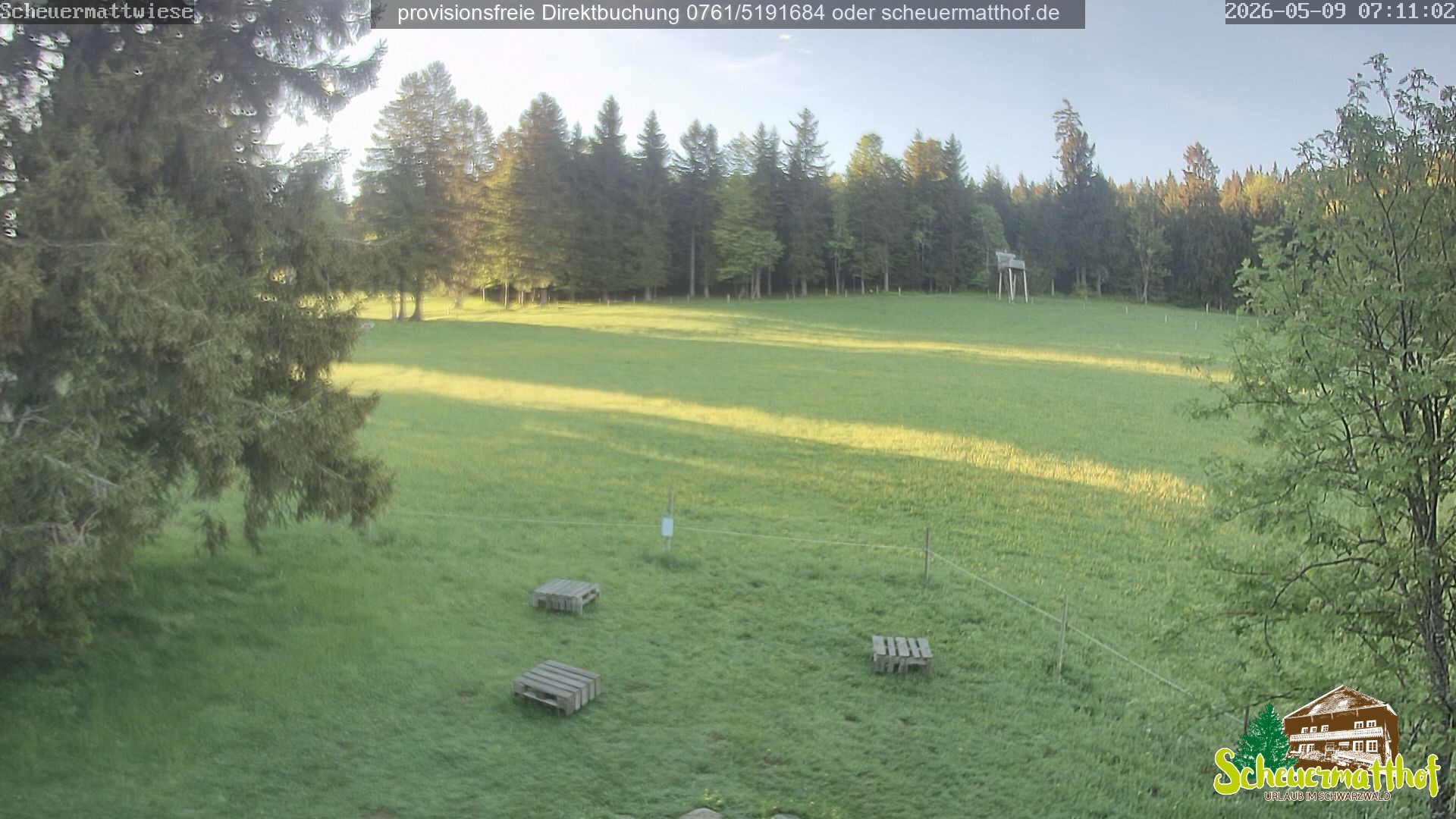 Archiv Foto Webcam Todtnauberg - Scheuermattwiese
