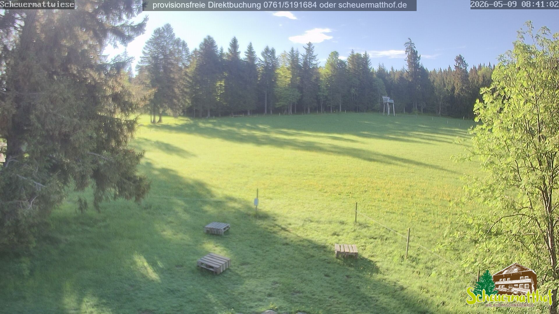 Archiv Foto Webcam Todtnauberg - Scheuermattwiese
