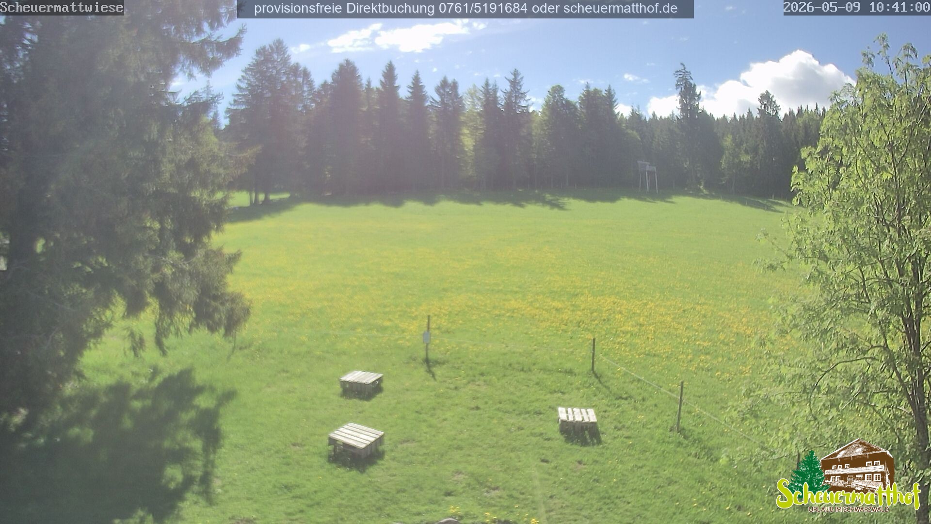 Archiv Foto Webcam Todtnauberg - Scheuermattwiese