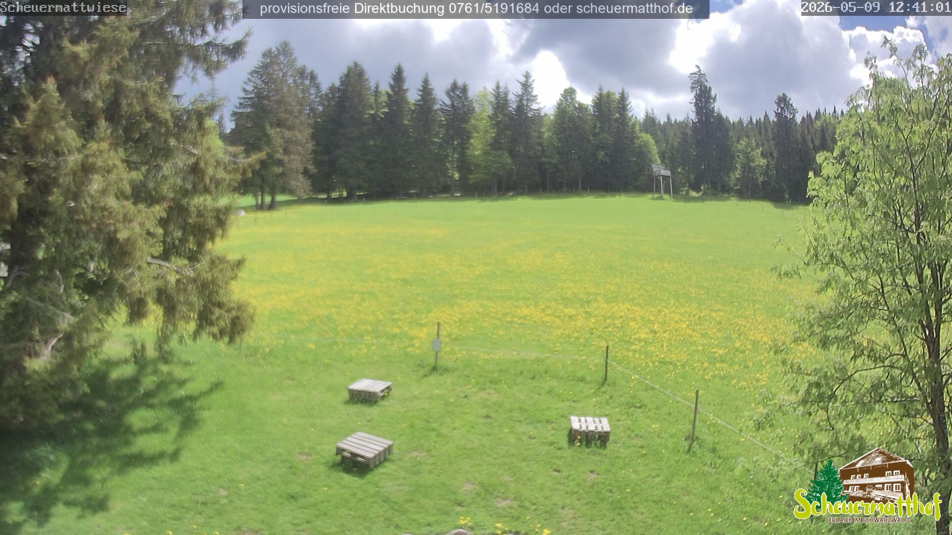 Archiv Foto Webcam Todtnauberg - Scheuermattwiese